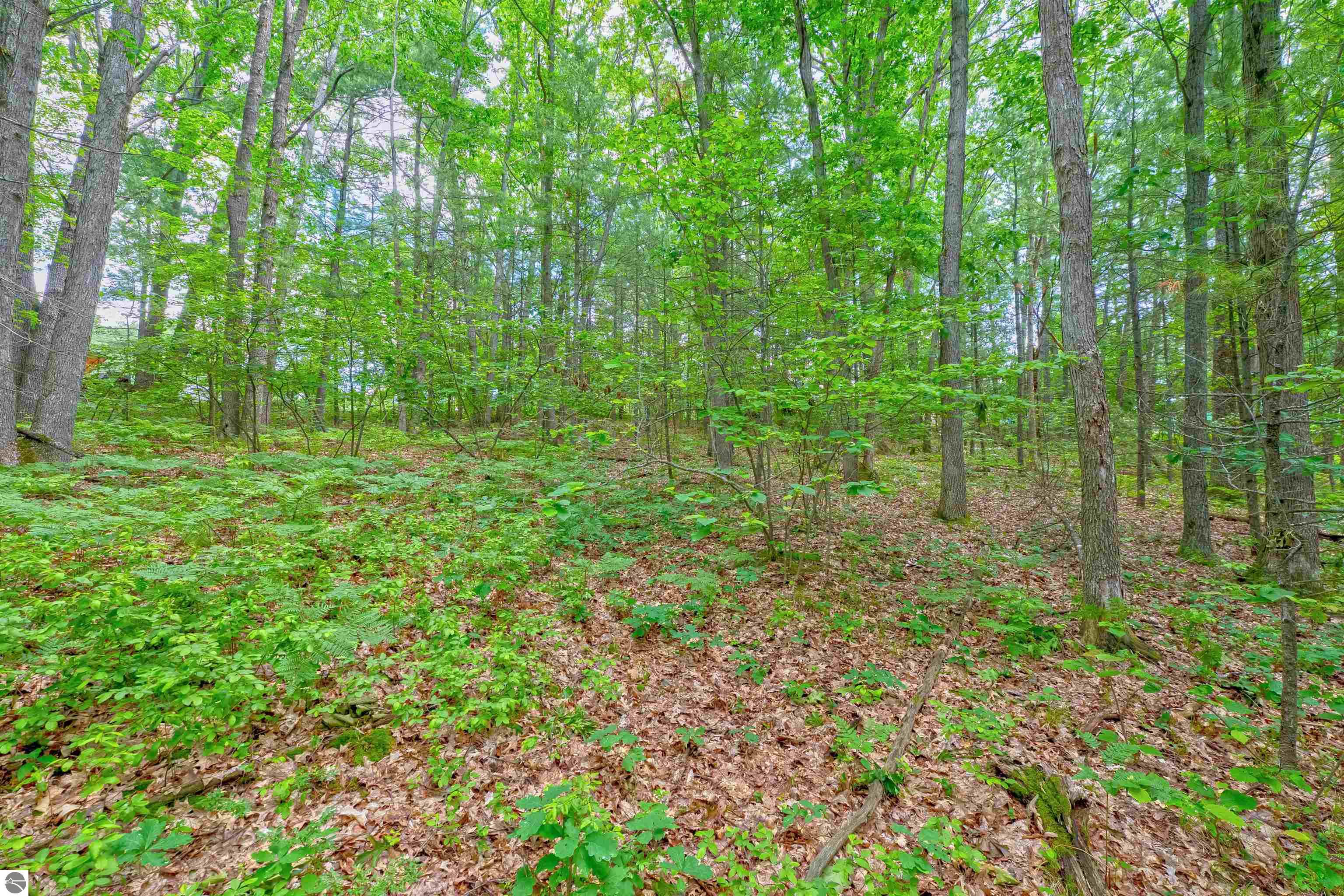 VL Shelby Street, Fife Lake, MI 49633 — Photo 10
