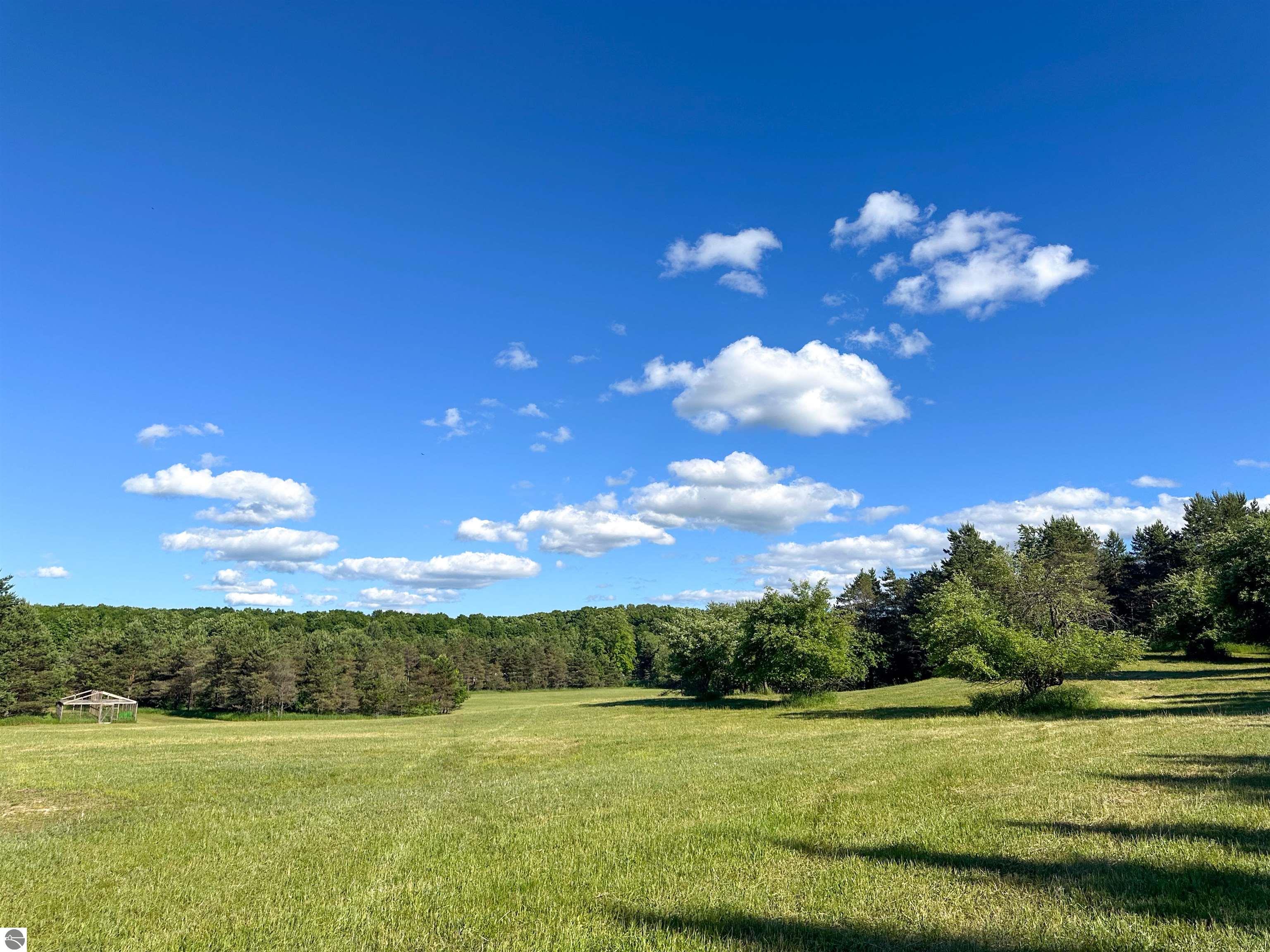 8157 NW Kellogg Road, Alden, MI 49612 — Photo 59