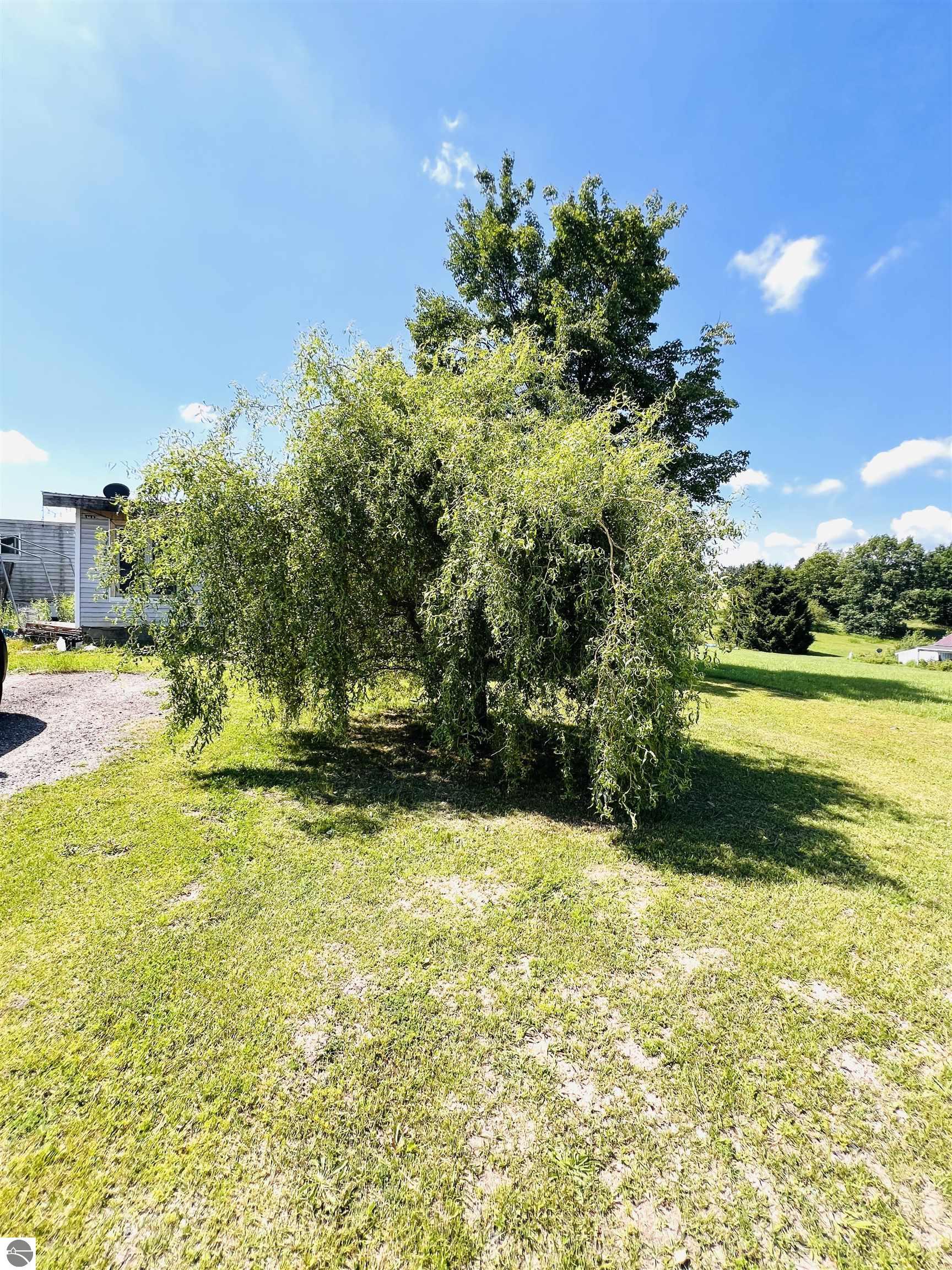 111 Eastland Drive, Leroy, MI 49655 — Photo 3