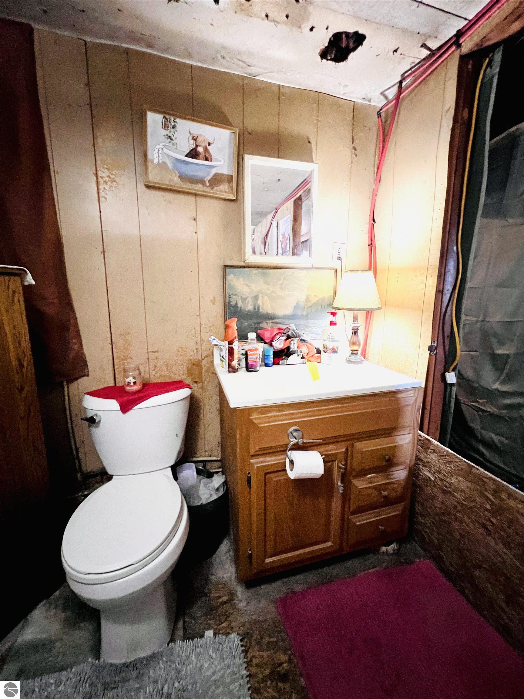 111 Eastland Drive, Leroy, MI 49655 — Photo 33