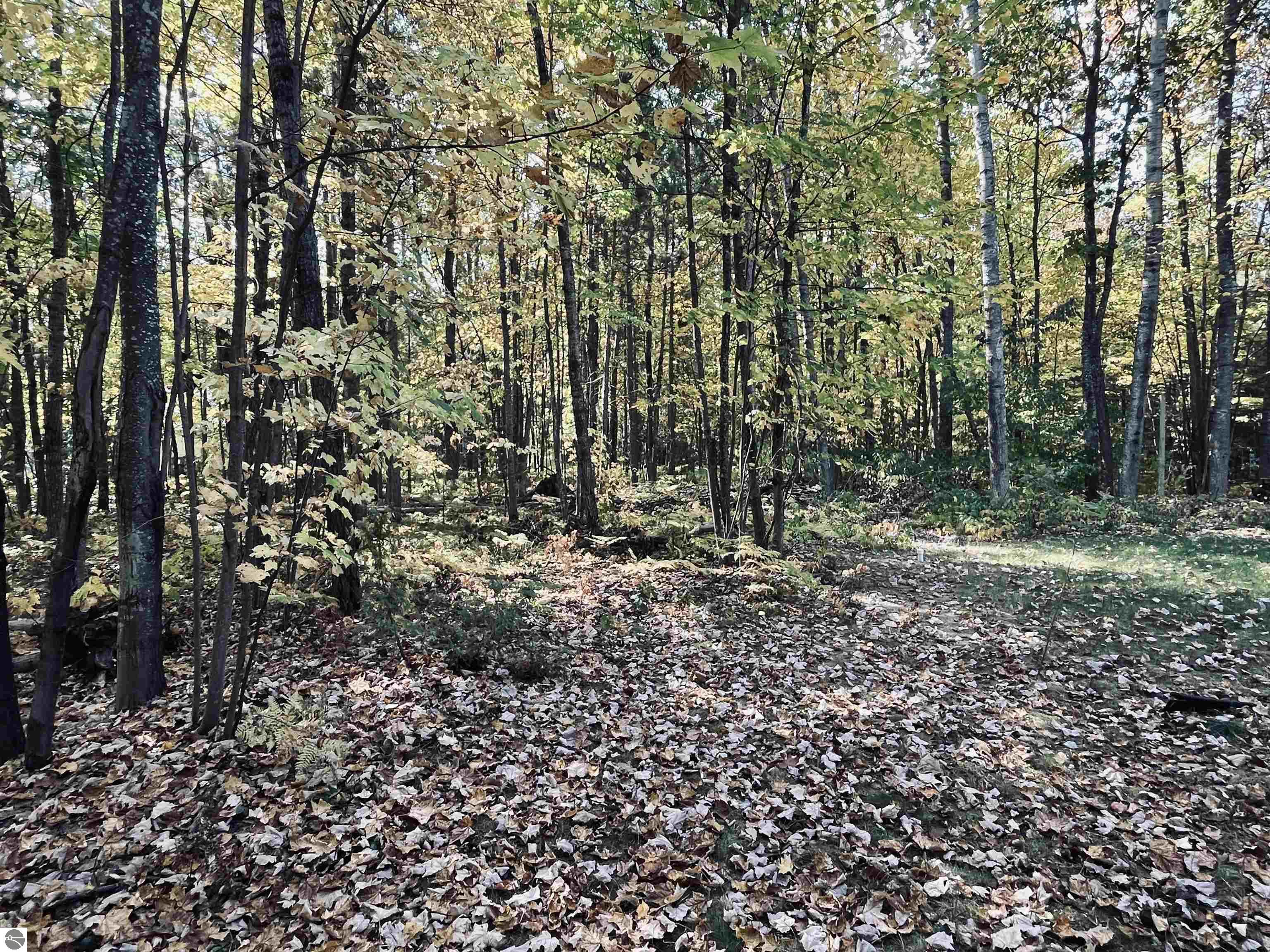 1967 NE Fairways Drive, Kalkaska, MI 49646 — Photo 33