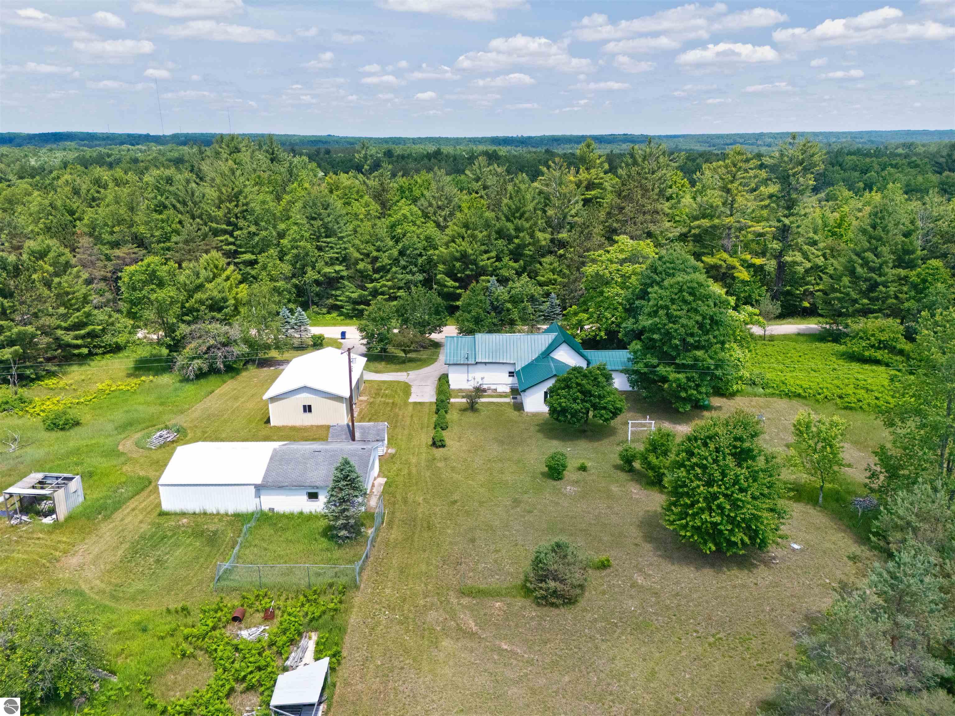 5201 W 14 Road, Mesick, MI 49668 — Photo 30