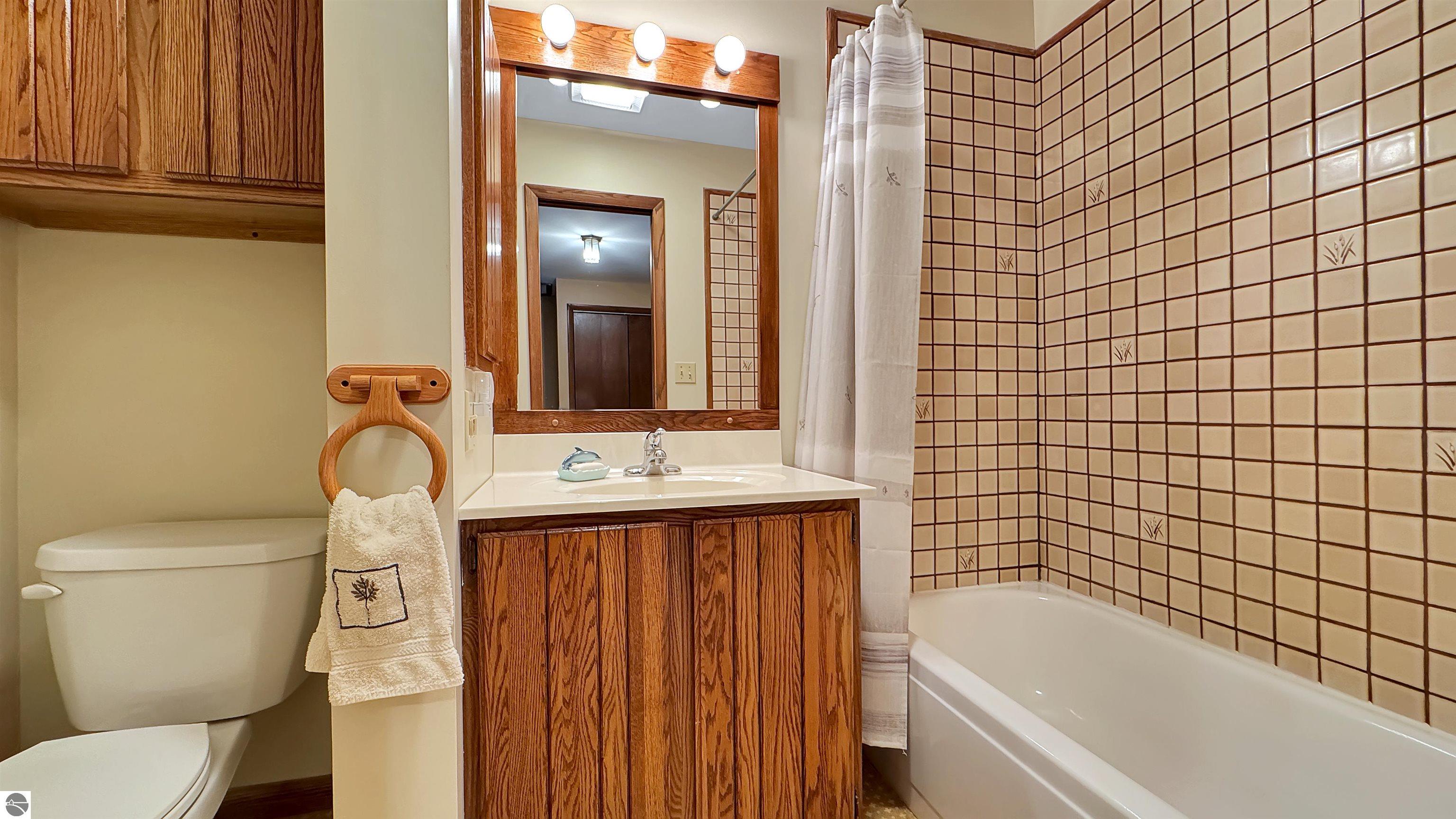 311 E Lake Mitchell Drive, Cadillac, MI 49601 — Photo 53