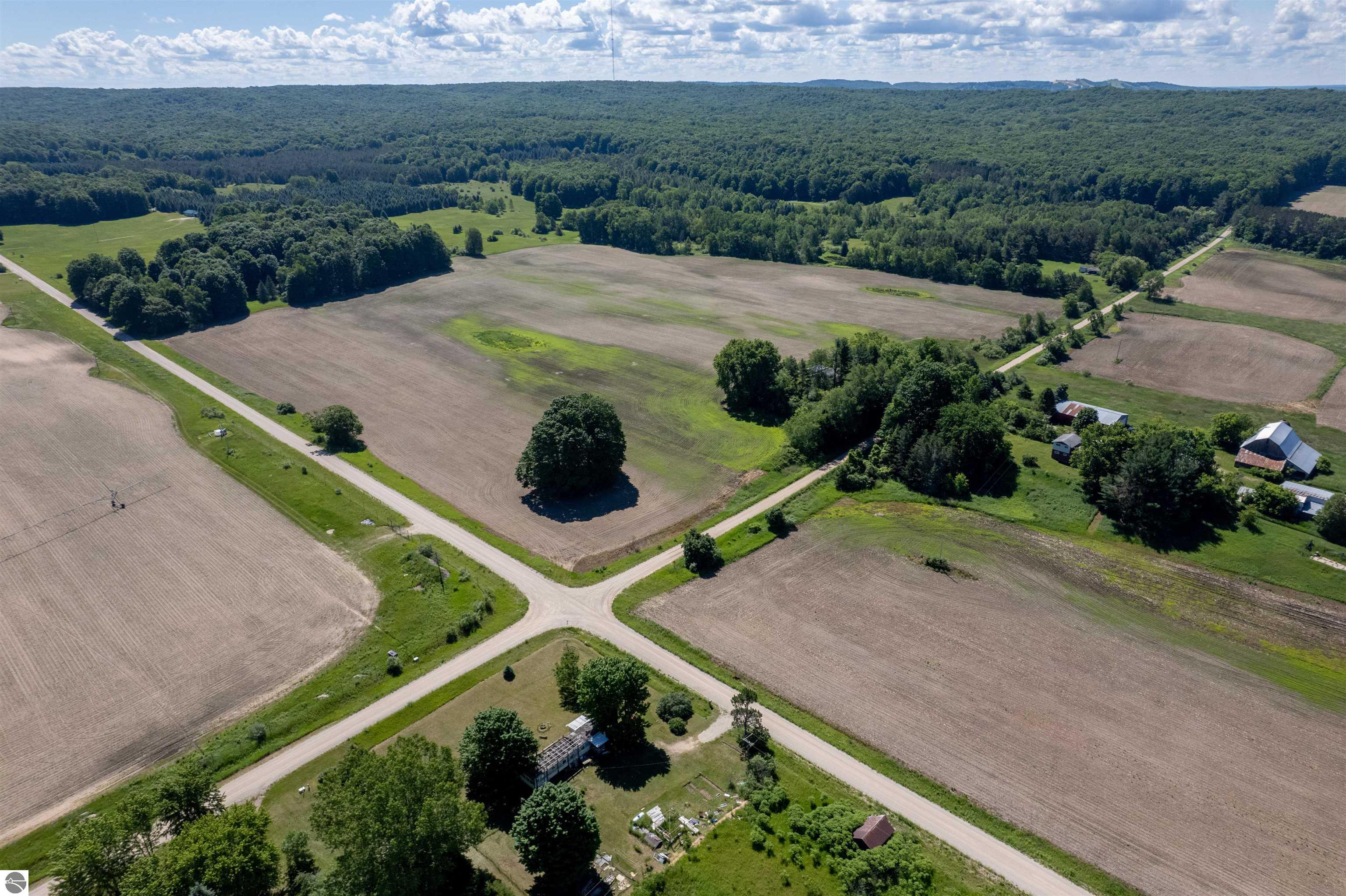 3102 S 9 Road, Harrietta, MI 49638 — Photo 3