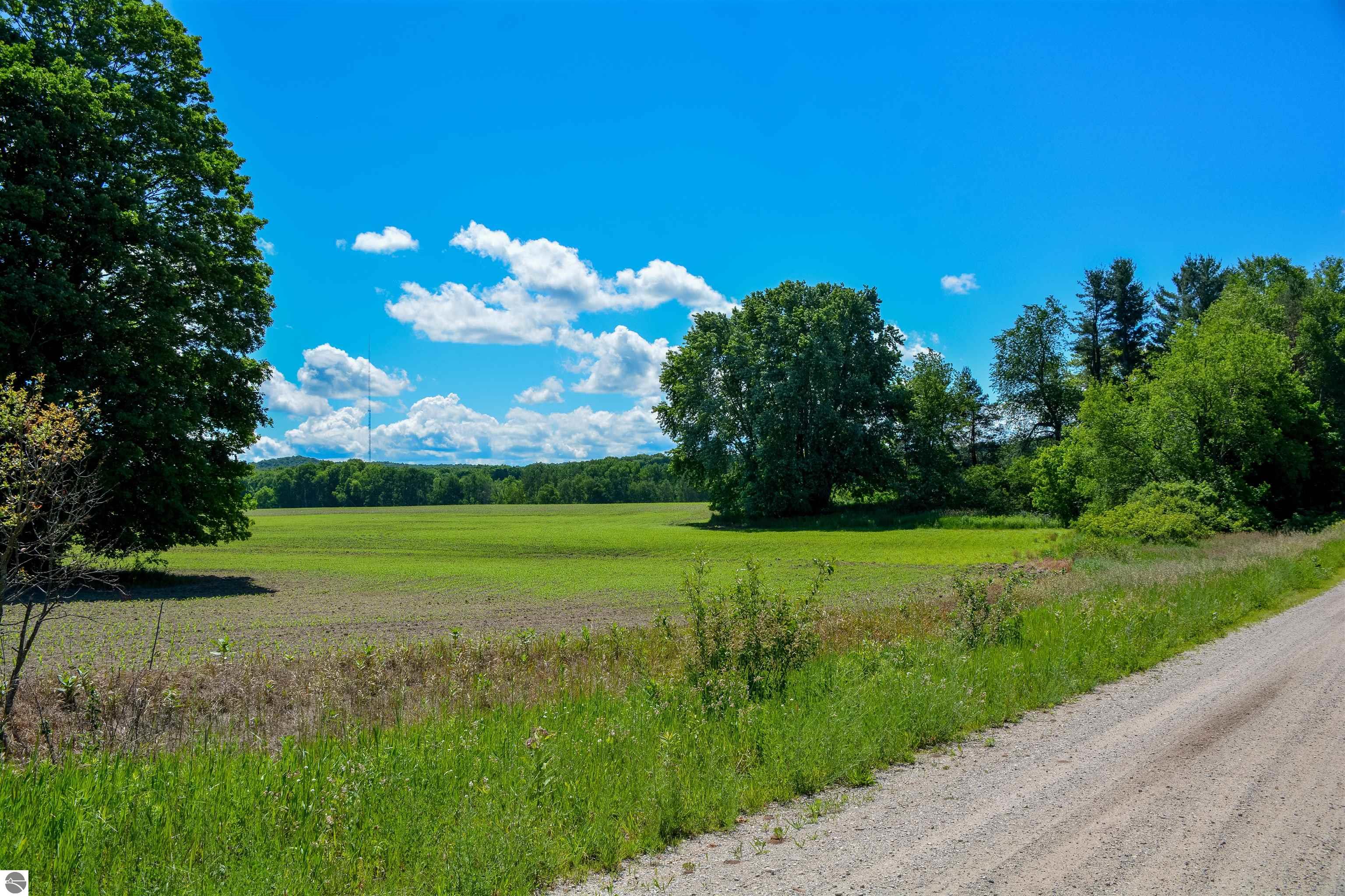 3102 S 9 Road, Harrietta, MI 49638 — Photo 37