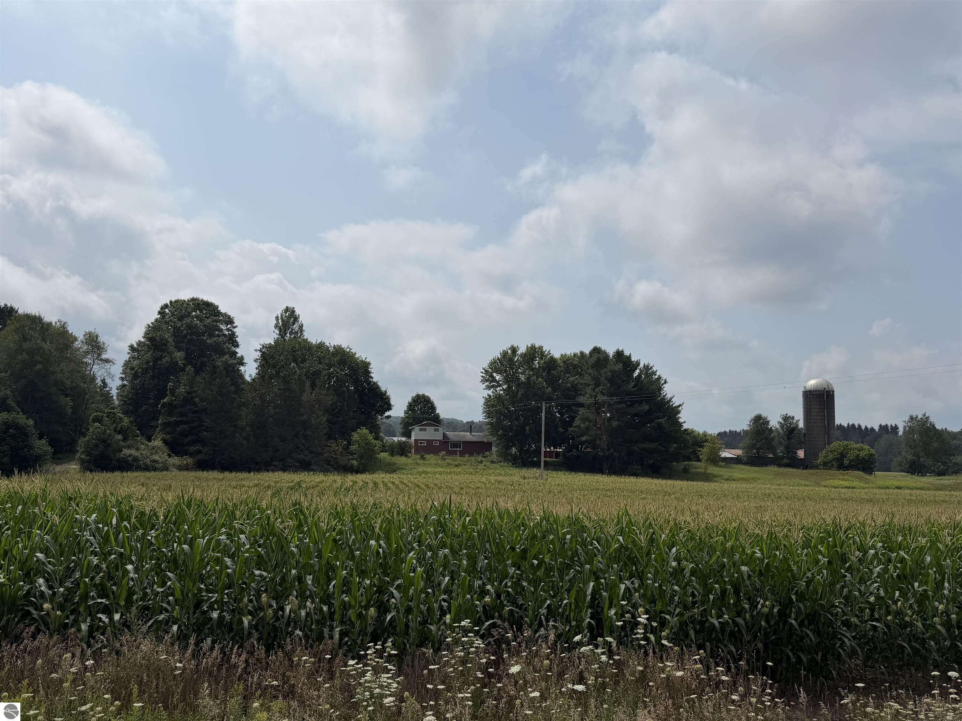 Image 49