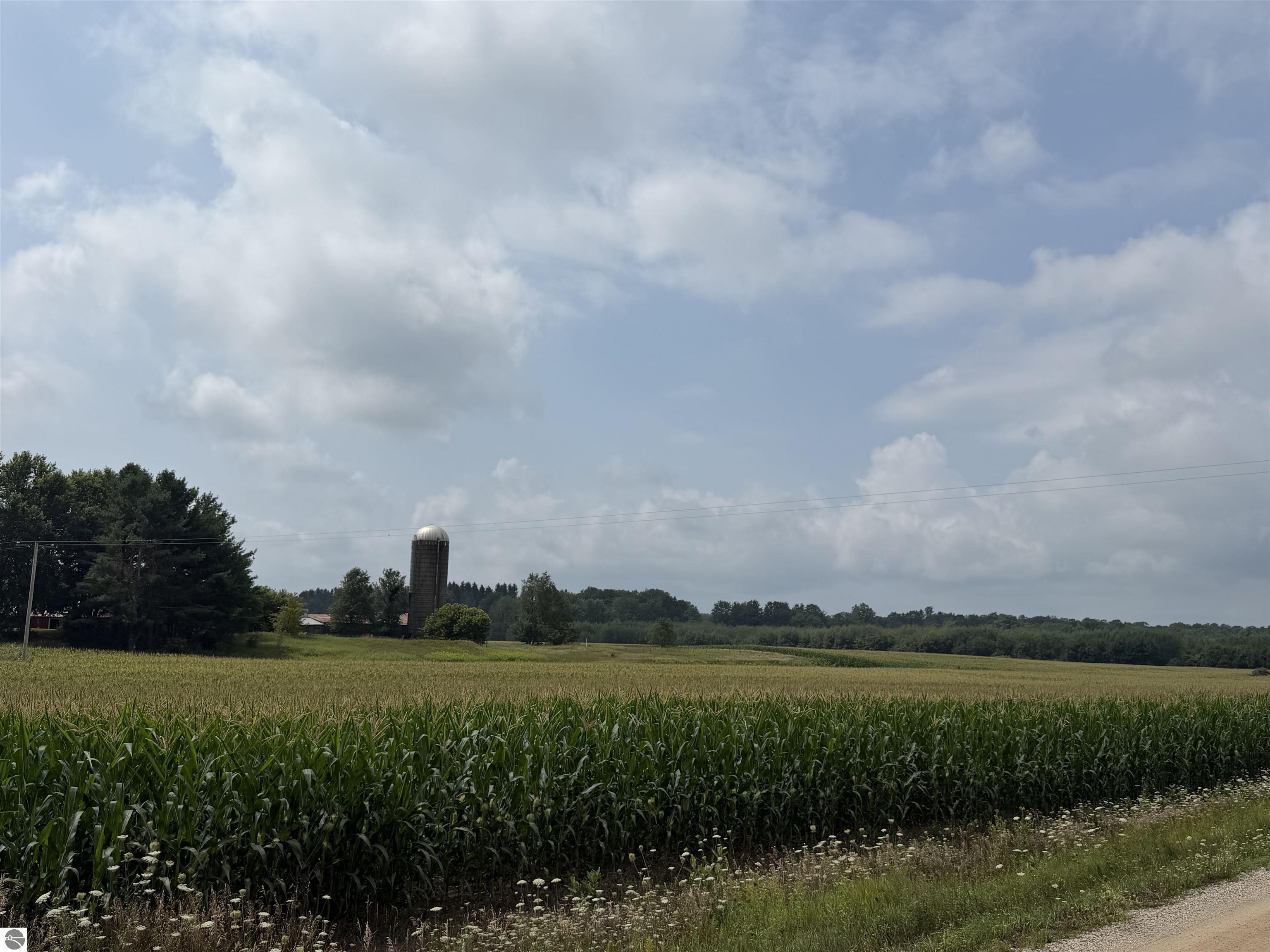 Image 50