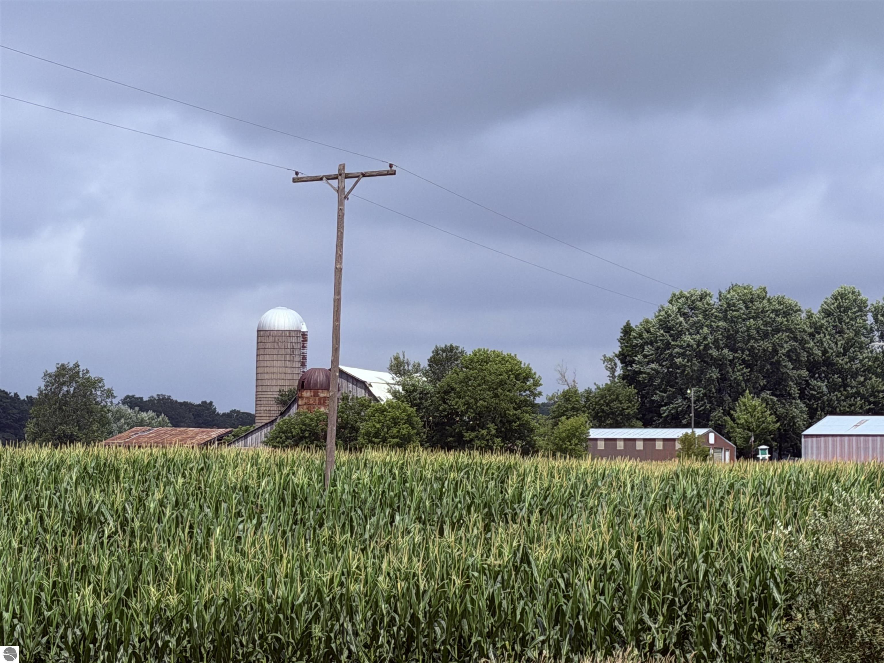 Image 51