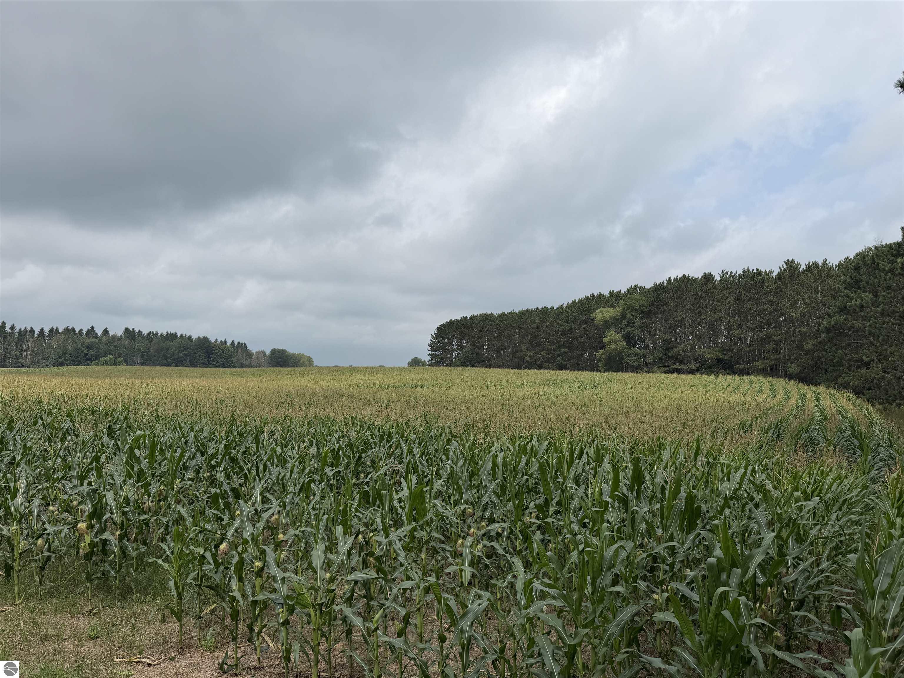 Image 53
