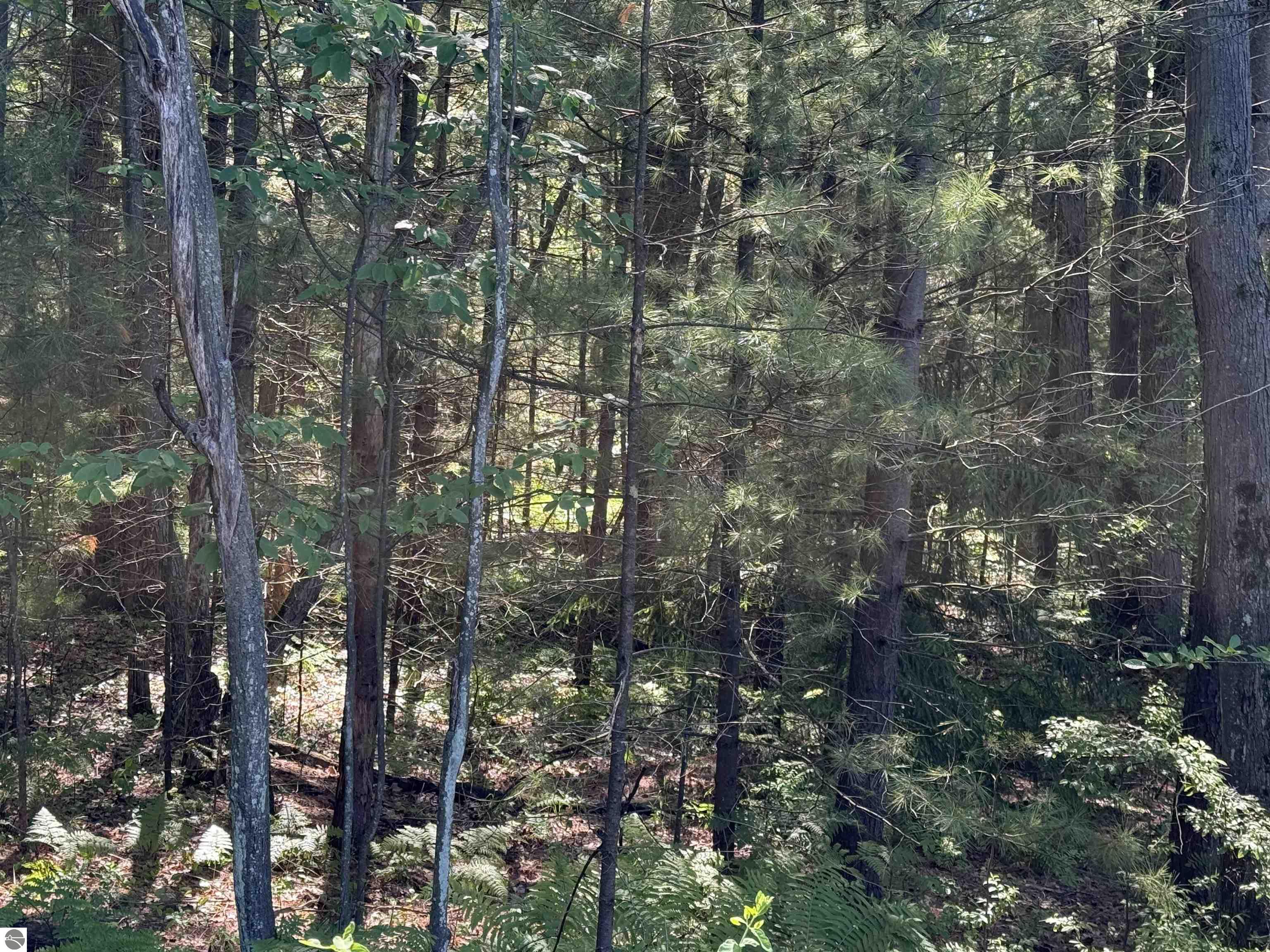 0 Emery Street, East Tawas, MI 48763 — Photo 3