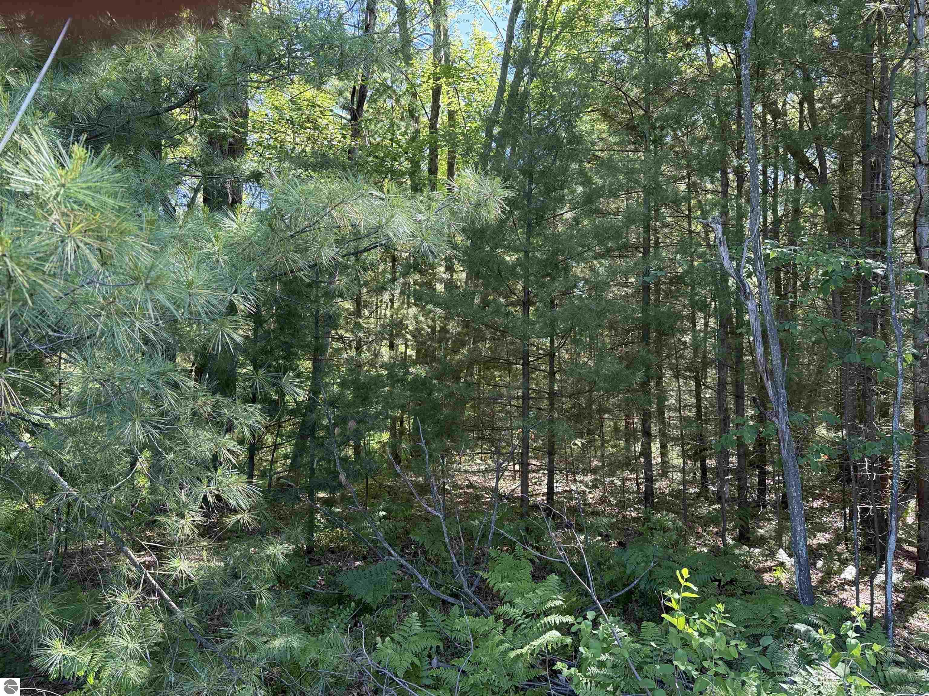 0 Emery Street, East Tawas, MI 48763 — Photo 4