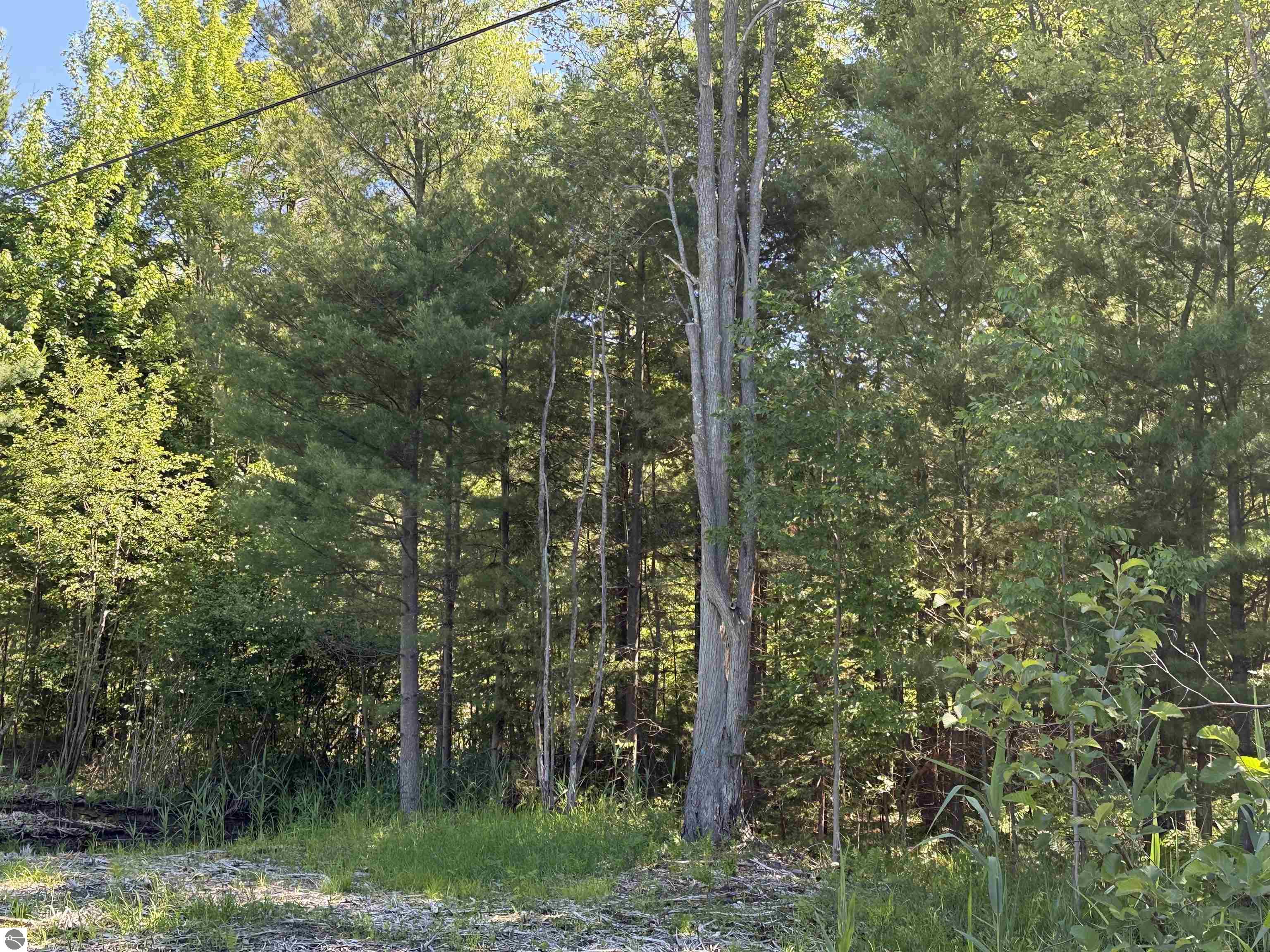 0 Emery Street, East Tawas, MI 48763 — Photo 7