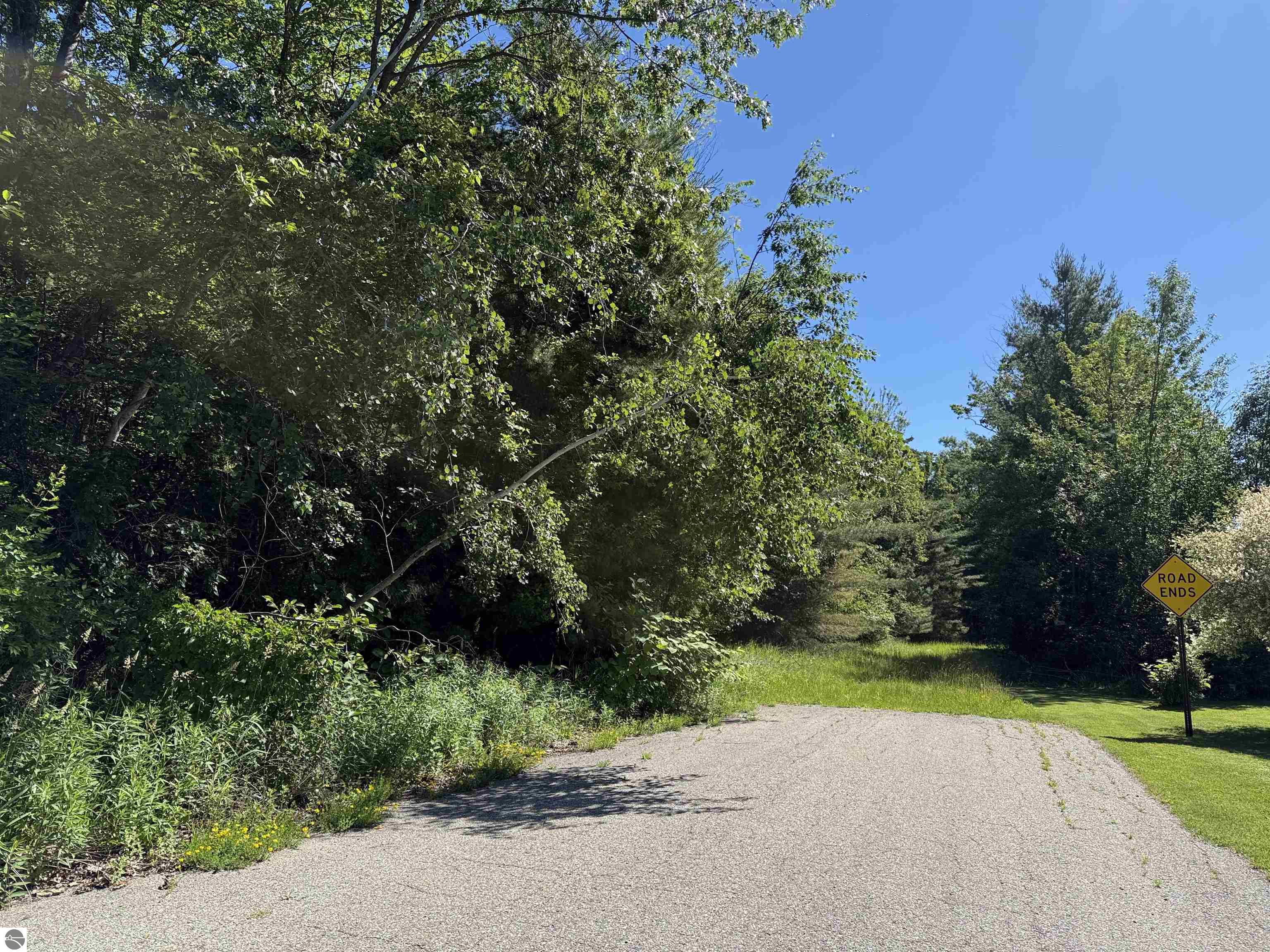 0 Emery Street, East Tawas, MI 48763 — Photo 9