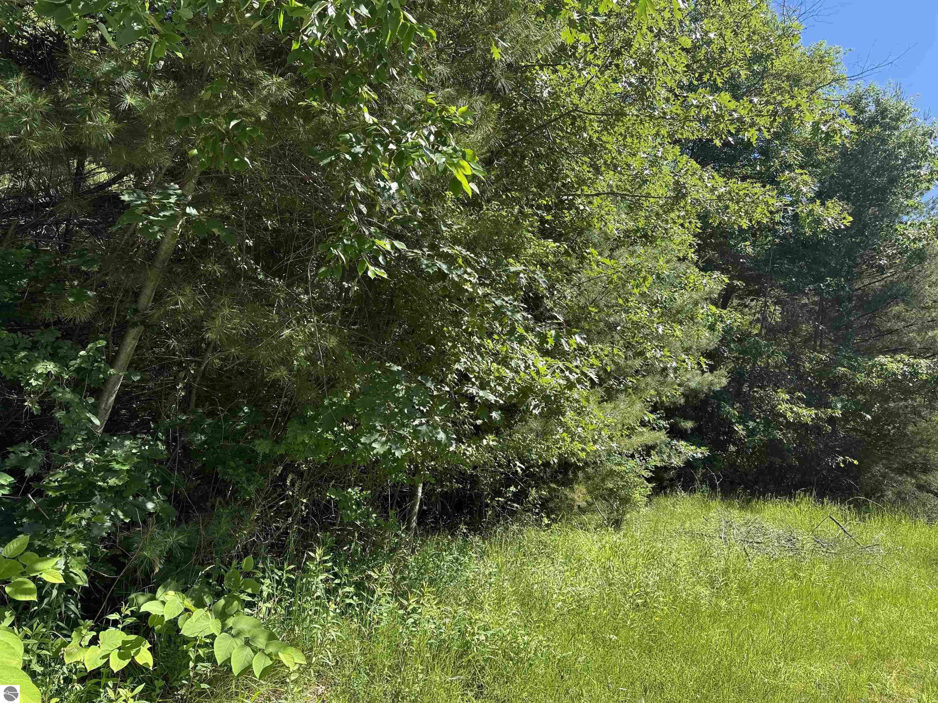 0 Emery Street, East Tawas, MI 48763 — Photo 10