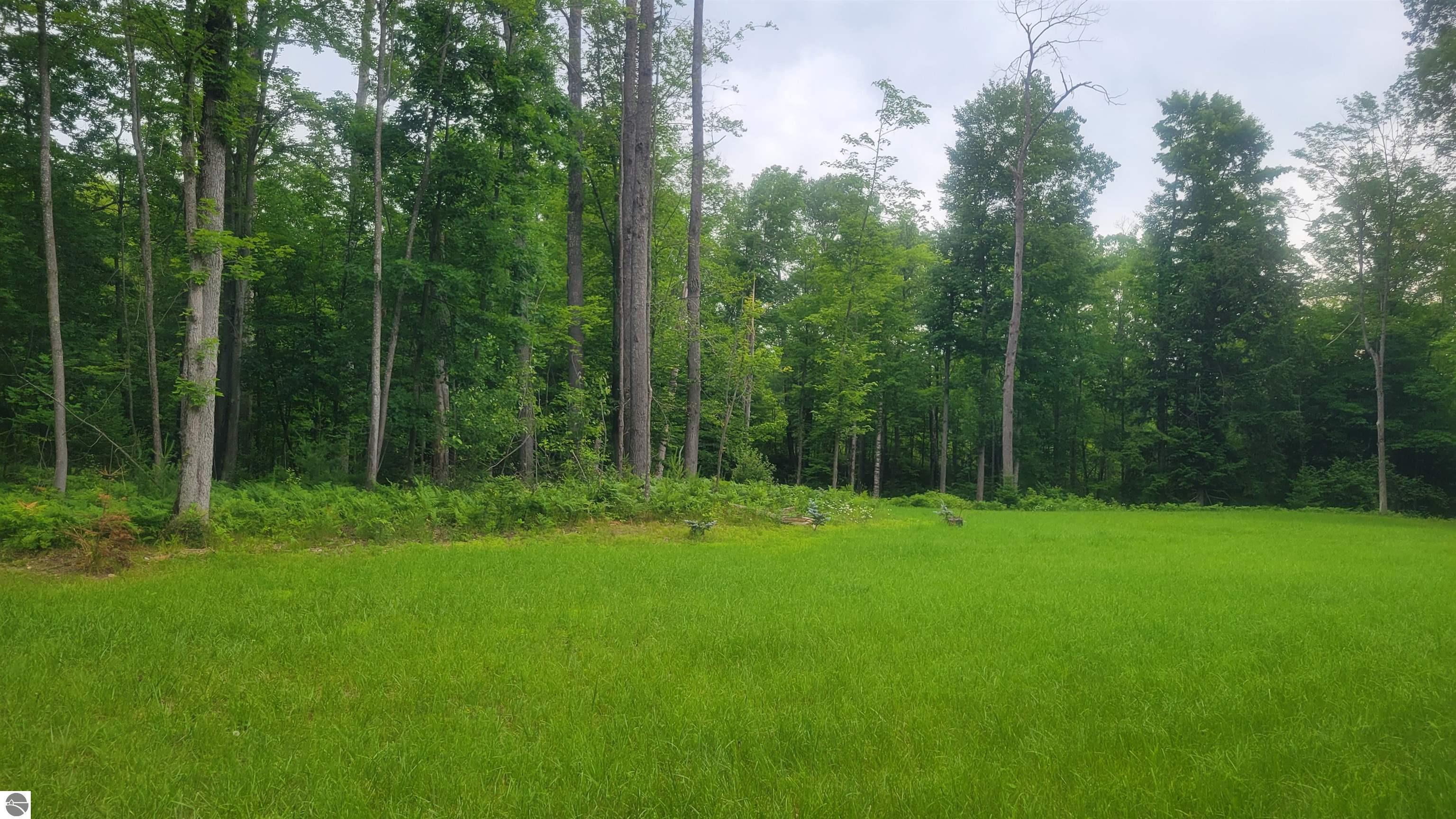 3619 Chippewa Drive, Glennie, MI 48737 — Photo 17
