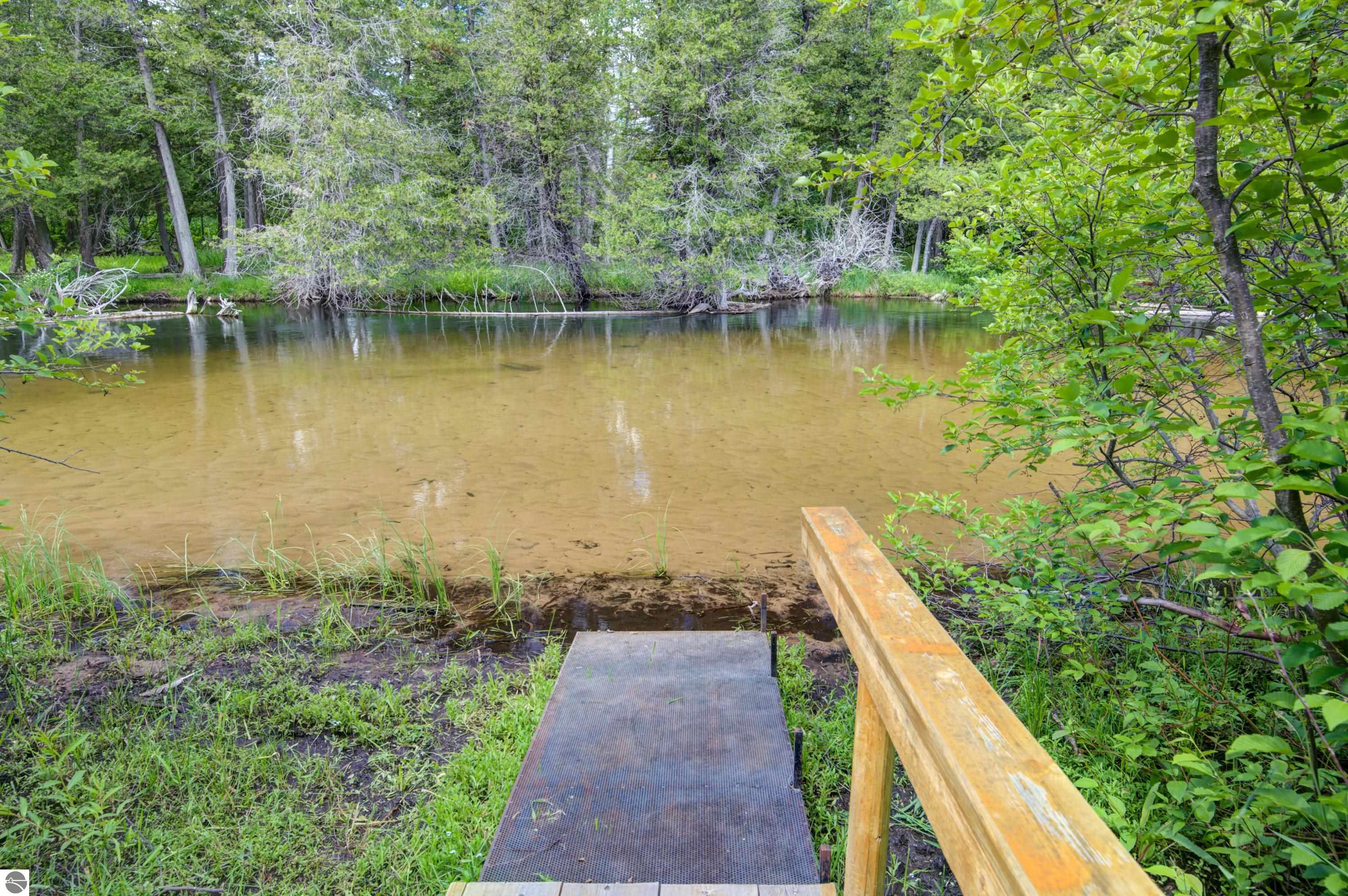 12079 Cold River Drive, Fife Lake, MI 49633 — Photo 12