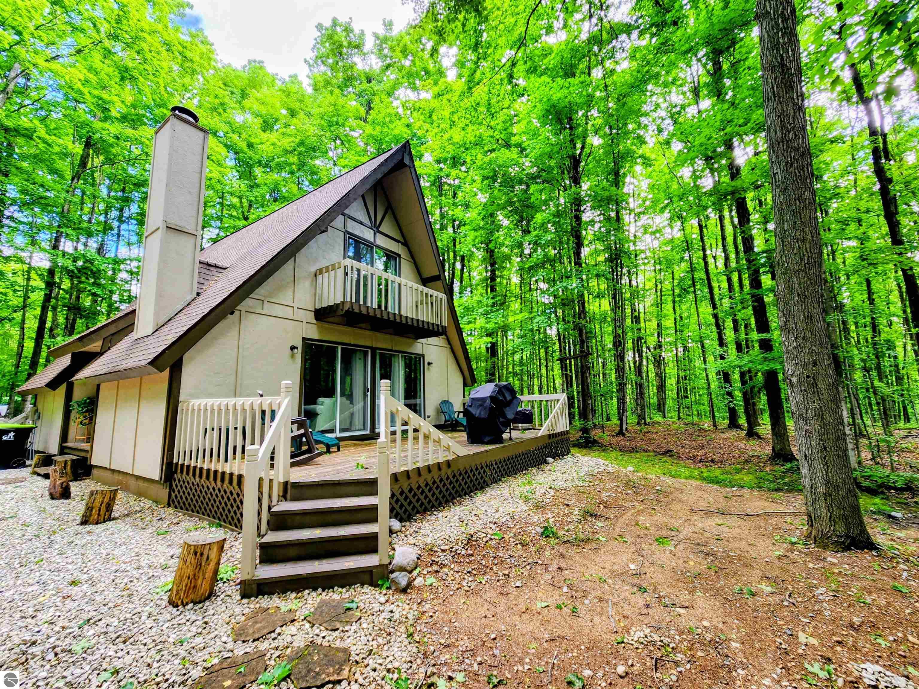 5834 Forestgrove Drive, Elmira, MI 49730 — Photo 2