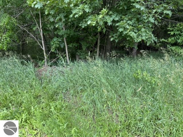 TBD N Lincoln, Stanton, MI 48888 — Photo 2