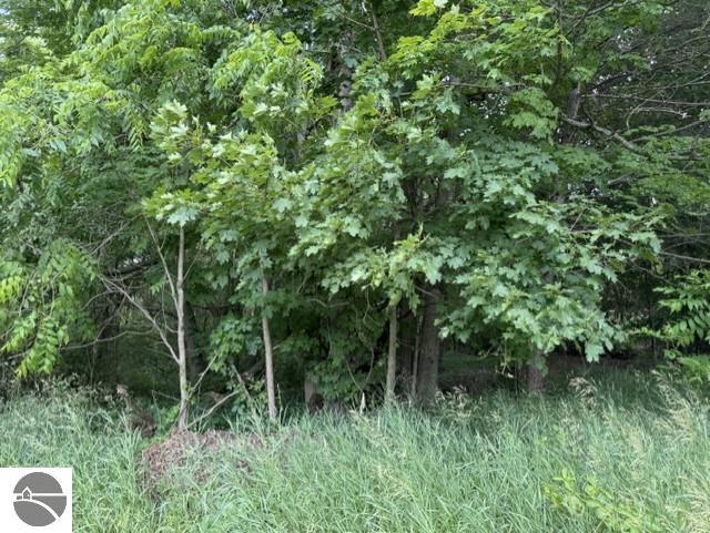 TBD N Lincoln, Stanton, MI 48888 — Photo 3