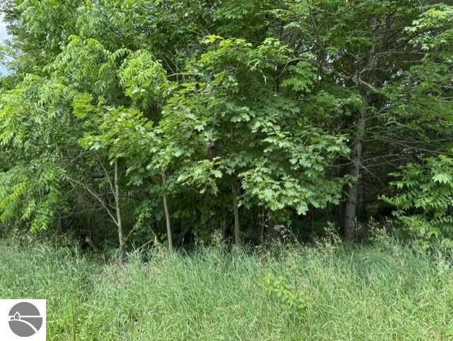 TBD N Lincoln, Stanton, MI 48888 — Photo 5