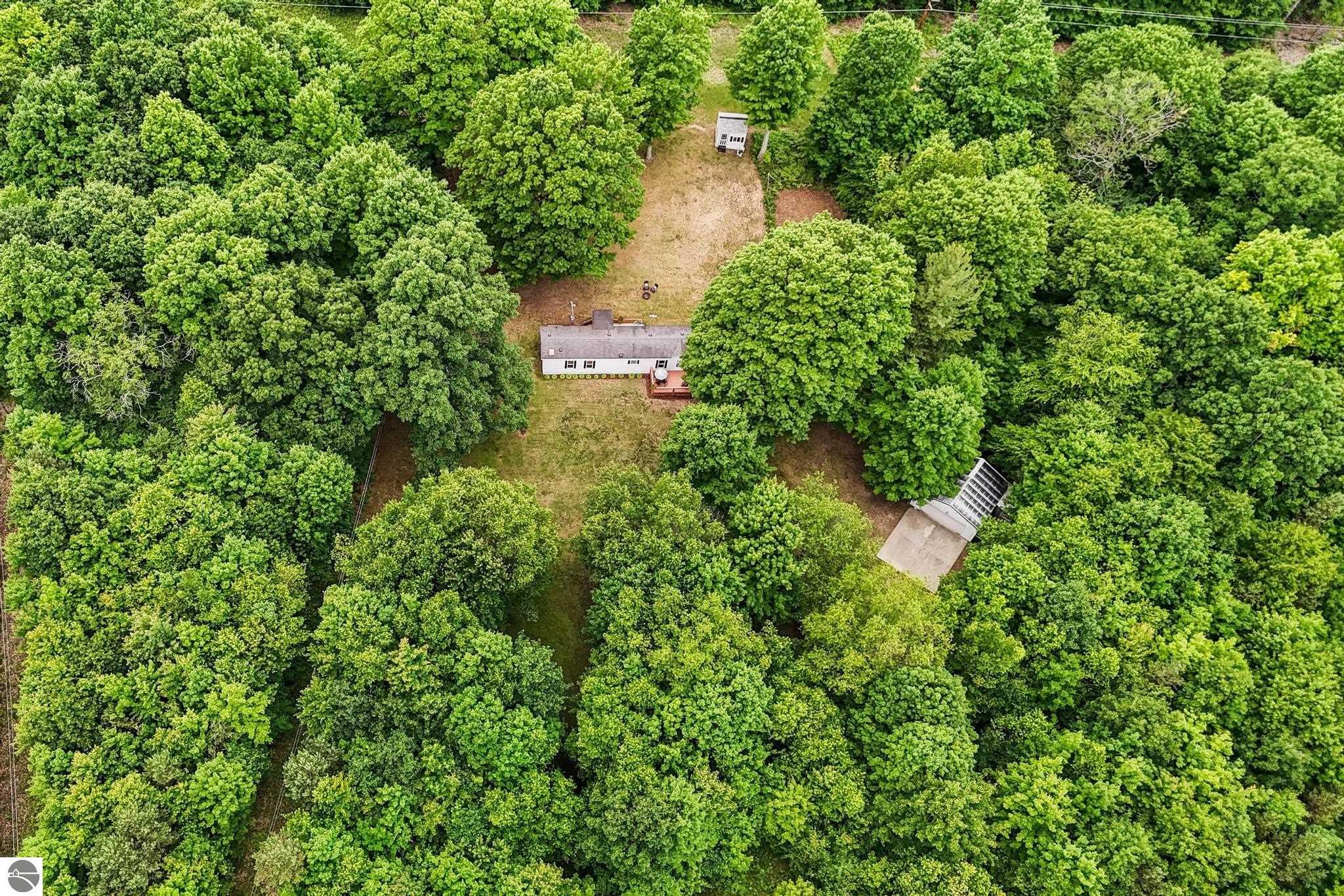 7346 Traverse Road, Thompsonville, MI 49683 — Photo 4