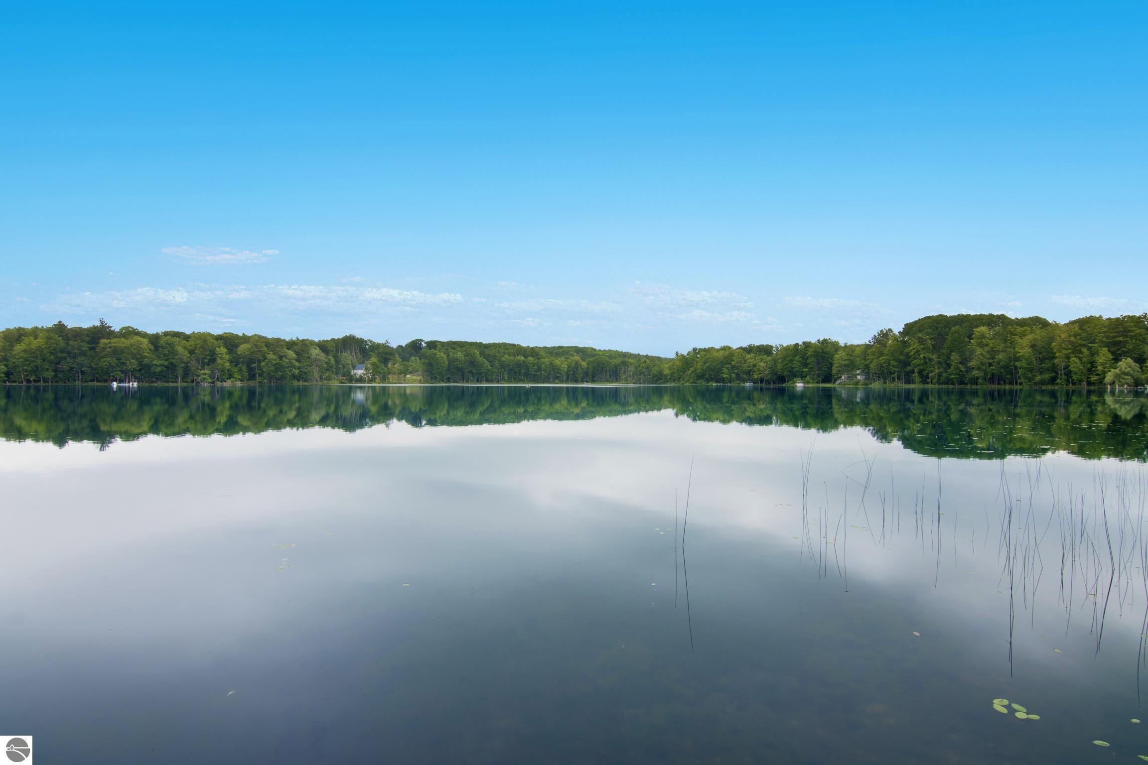 9506 Lakeside Drive, Alden, MI 49612 — Photo 58