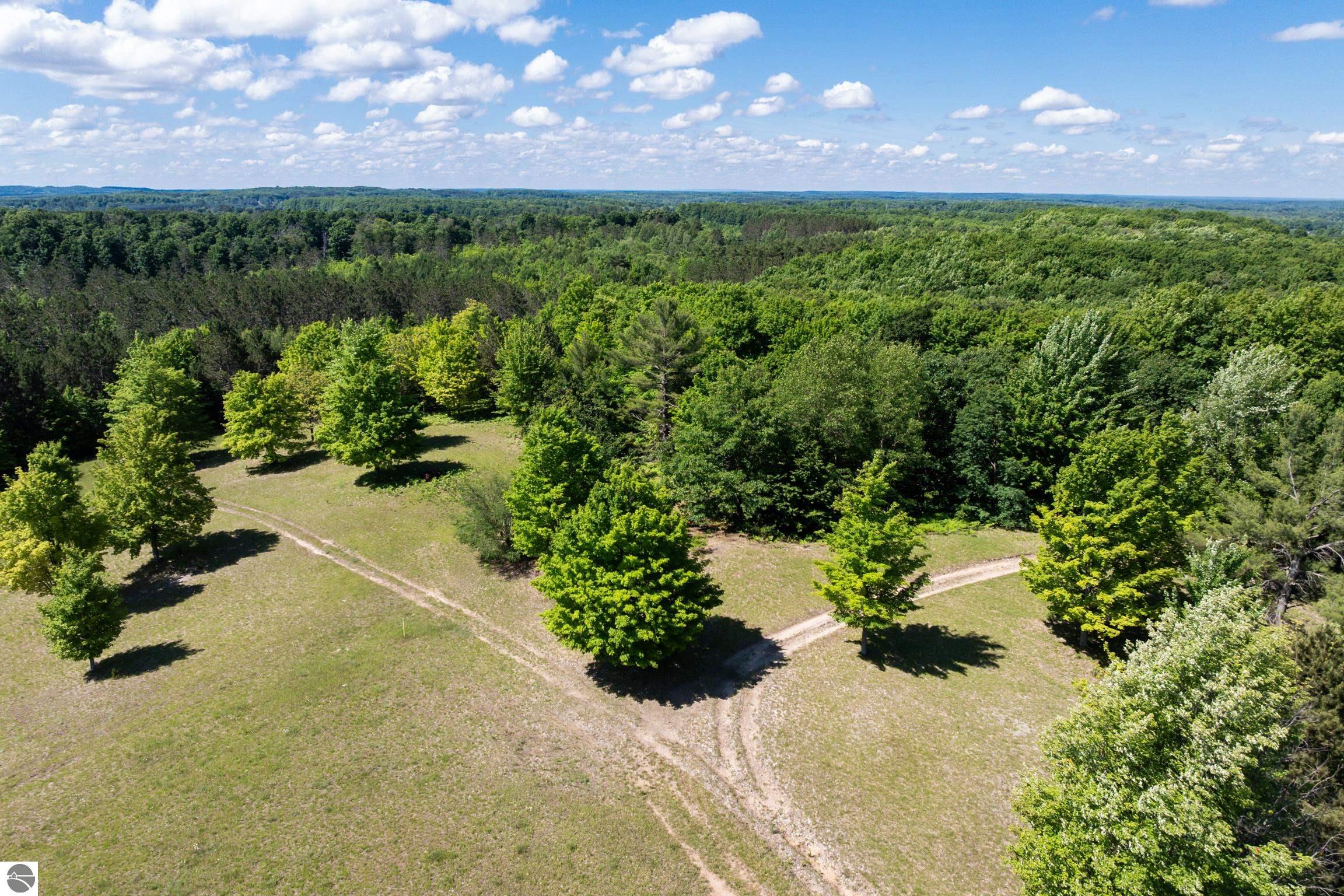 2324 Krumlauf Road, Kalkaska, MI 49646 — Photo 27