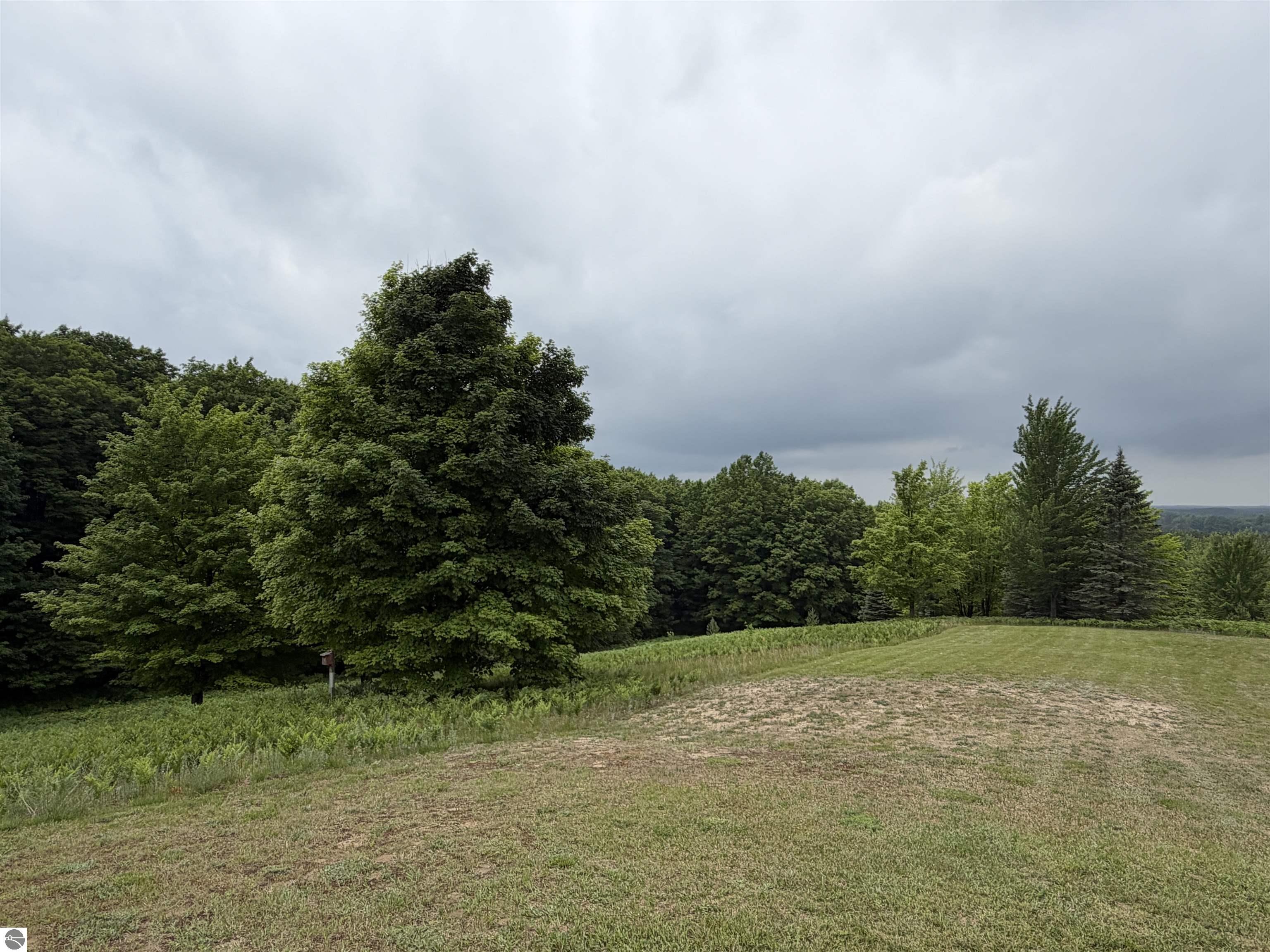2324 Krumlauf Road, Kalkaska, MI 49646 — Photo 49
