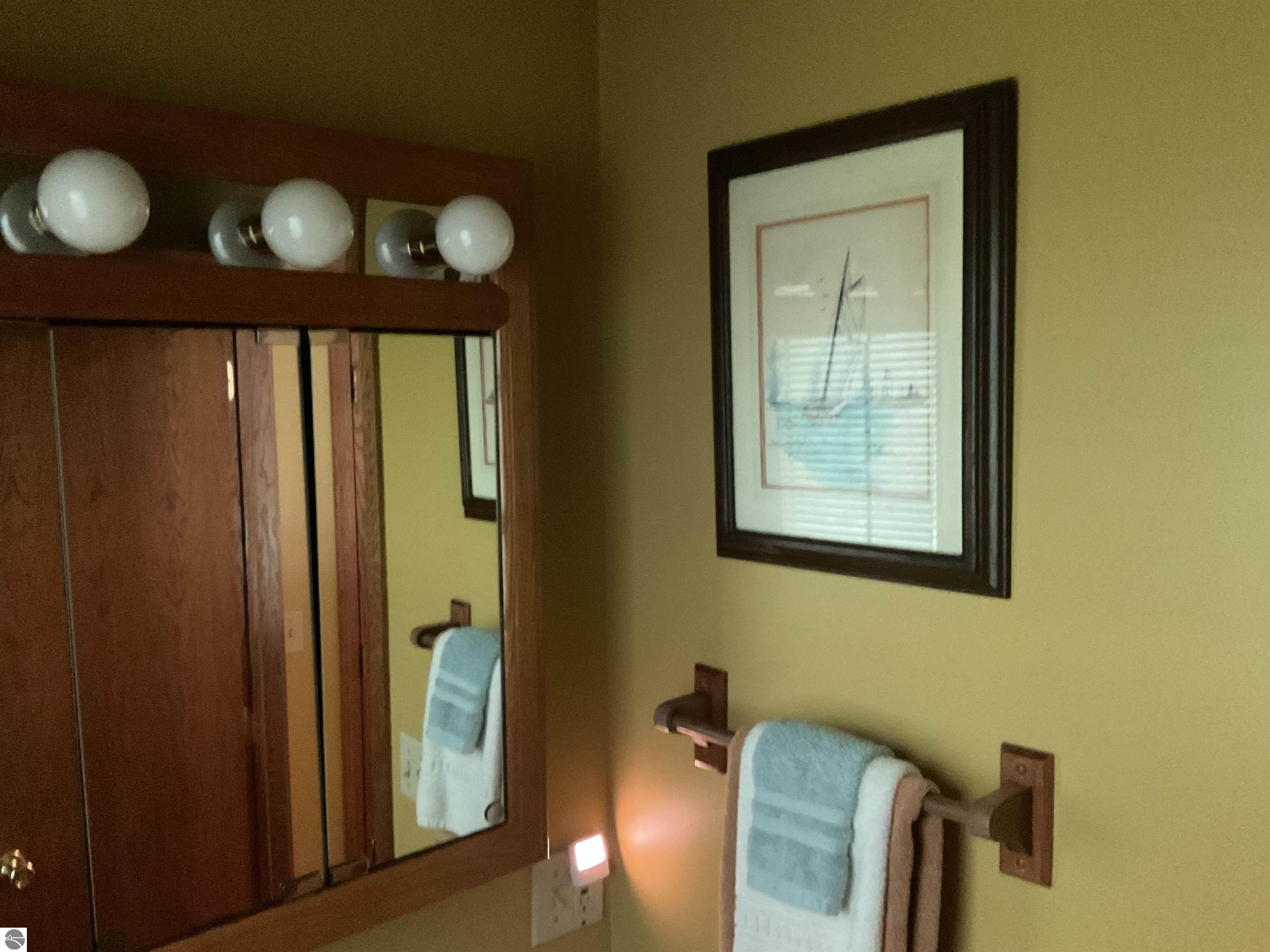 3300 E Arnold Lake Road, Harrison, MI 48625 — Photo 50