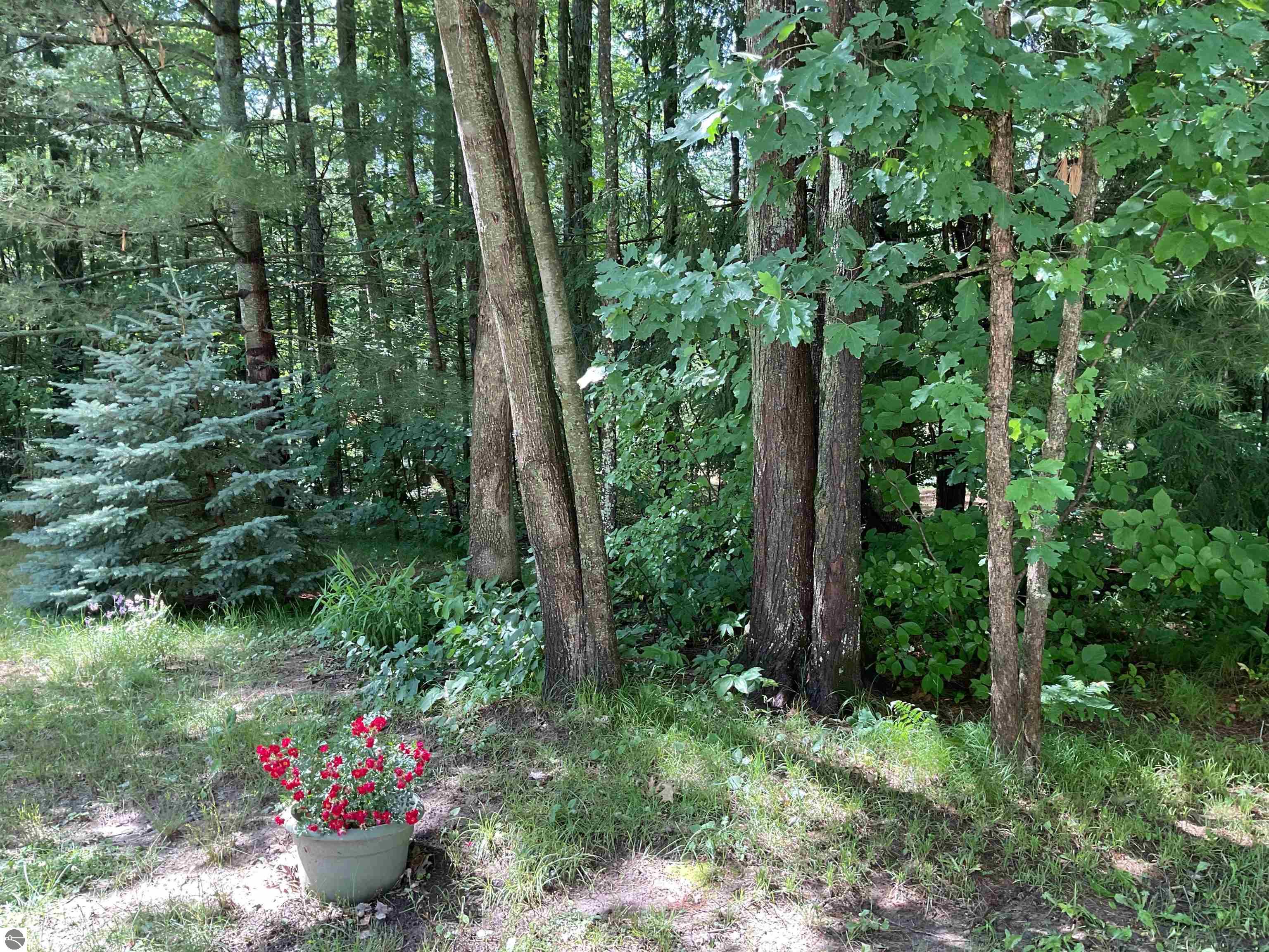 3300 E Arnold Lake Road, Harrison, MI 48625 — Photo 73