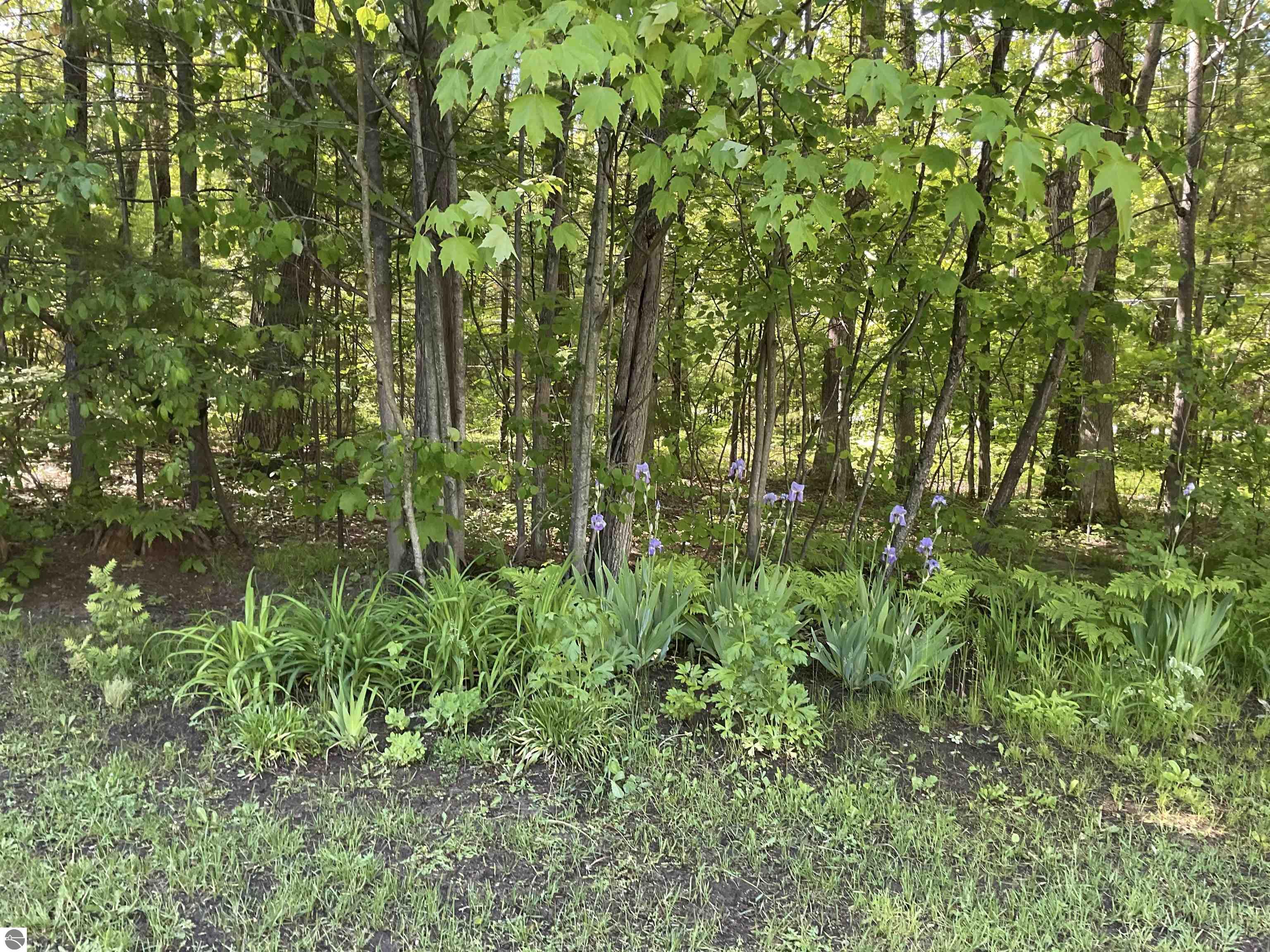 3300 E Arnold Lake Road, Harrison, MI 48625 — Photo 88