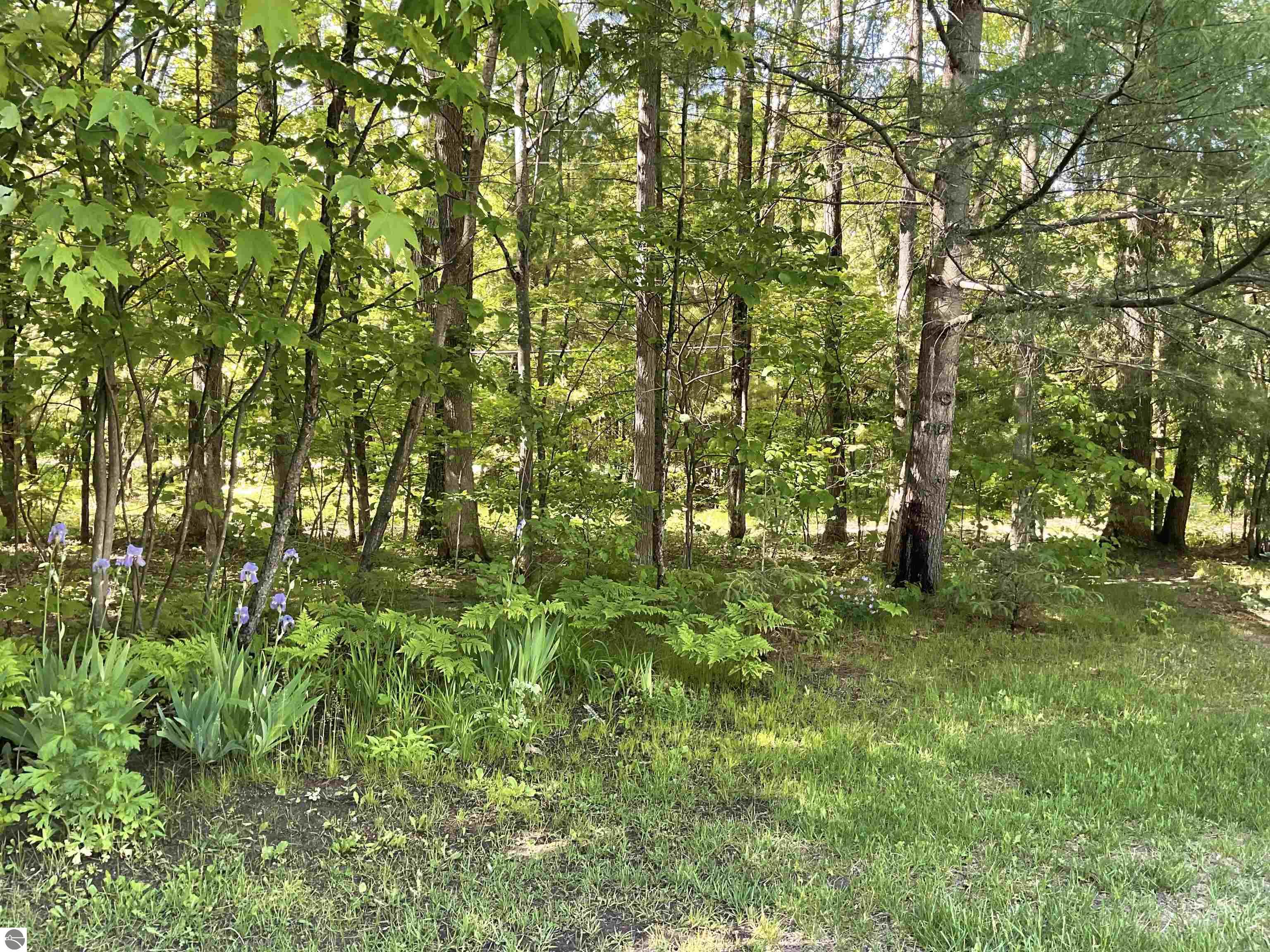 3300 E Arnold Lake Road, Harrison, MI 48625 — Photo 89
