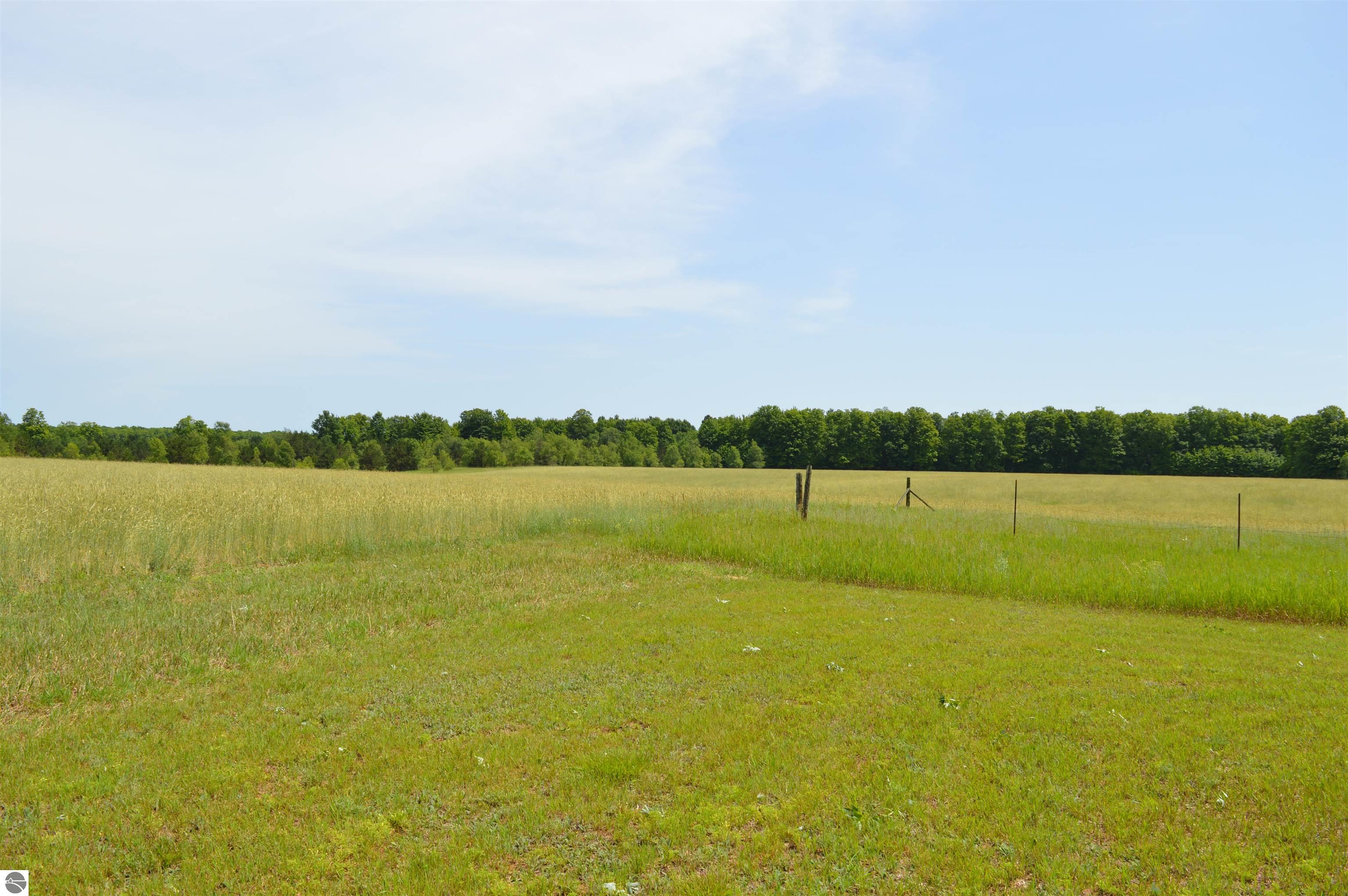 6268 E M-72, Kalkaska, MI 49646 — Photo 27