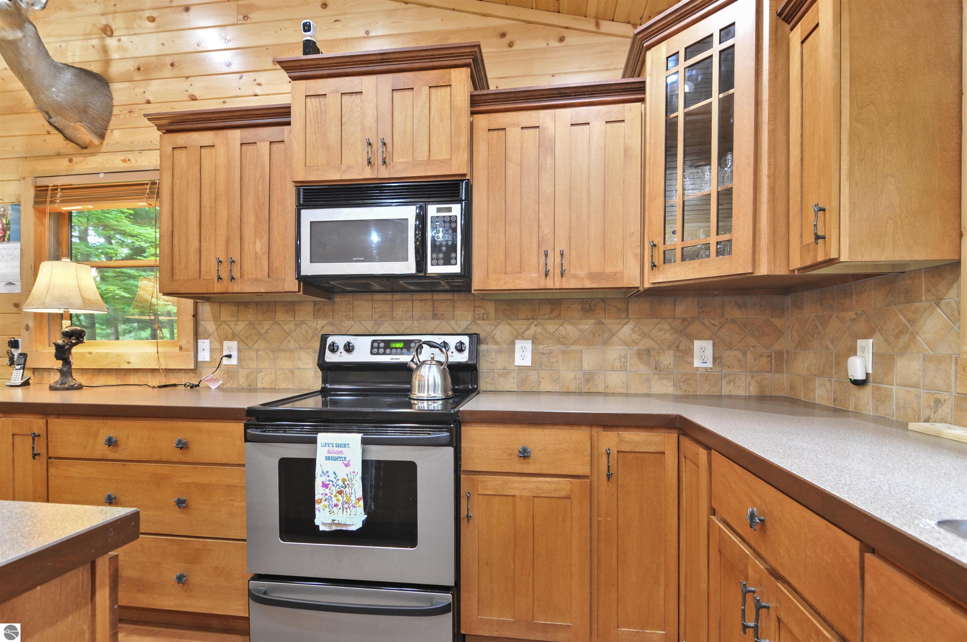 10694 N Mac Road, Irons, MI 49644 — Photo 6