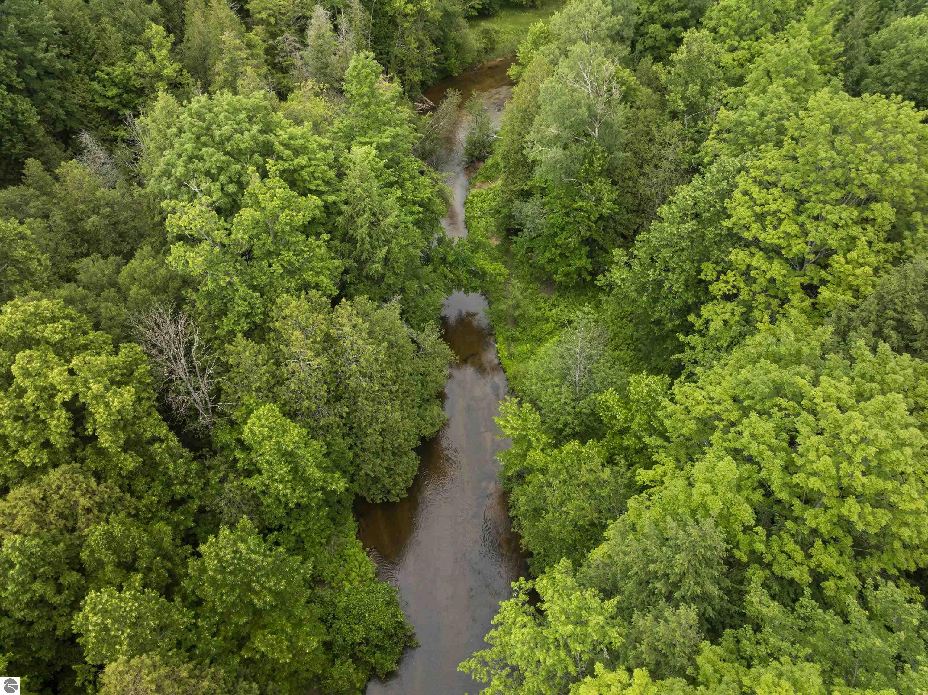 15620 Betsie River Drive, Thompsonville, MI 49683 — Photo 41