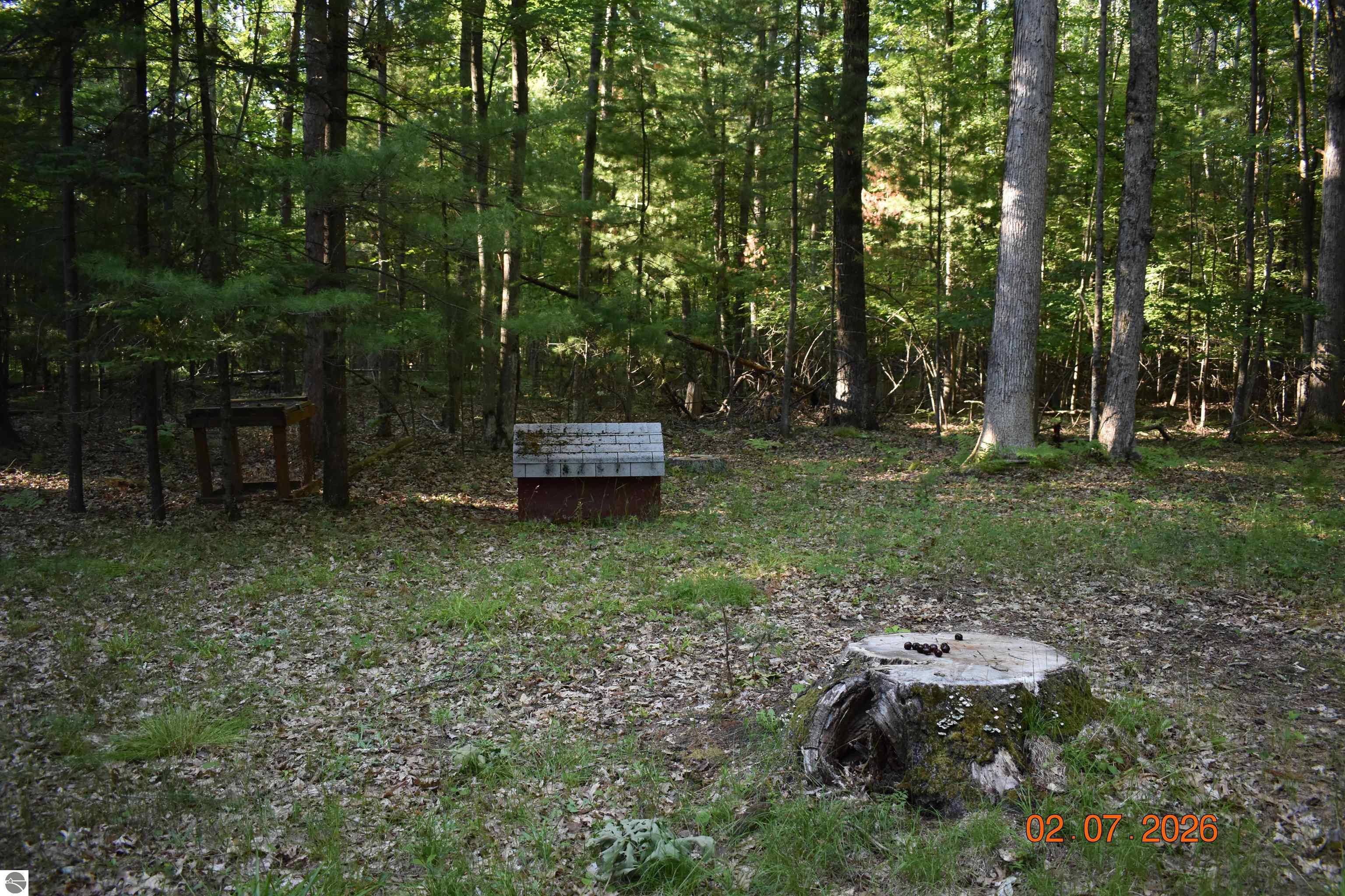 2425 Cora Lane, Prescott, MI 48756 — Photo 5