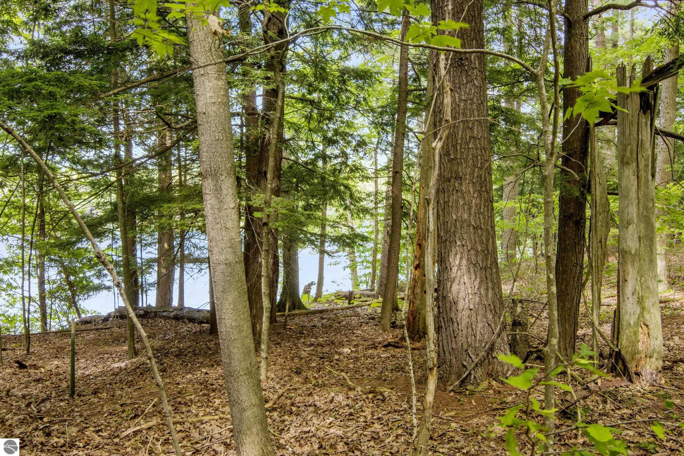 16043 Wagner Road, Empire, MI 49630 — Photo 33