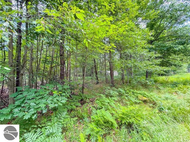 3120 Kens Place, Roscommon, MI 48653 — Photo 39