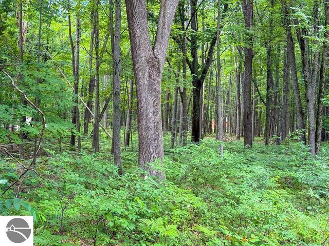 3120 Kens Place, Roscommon, MI 48653 — Photo 40