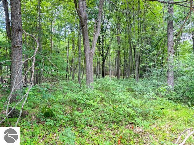 3120 Kens Place, Roscommon, MI 48653 — Photo 41