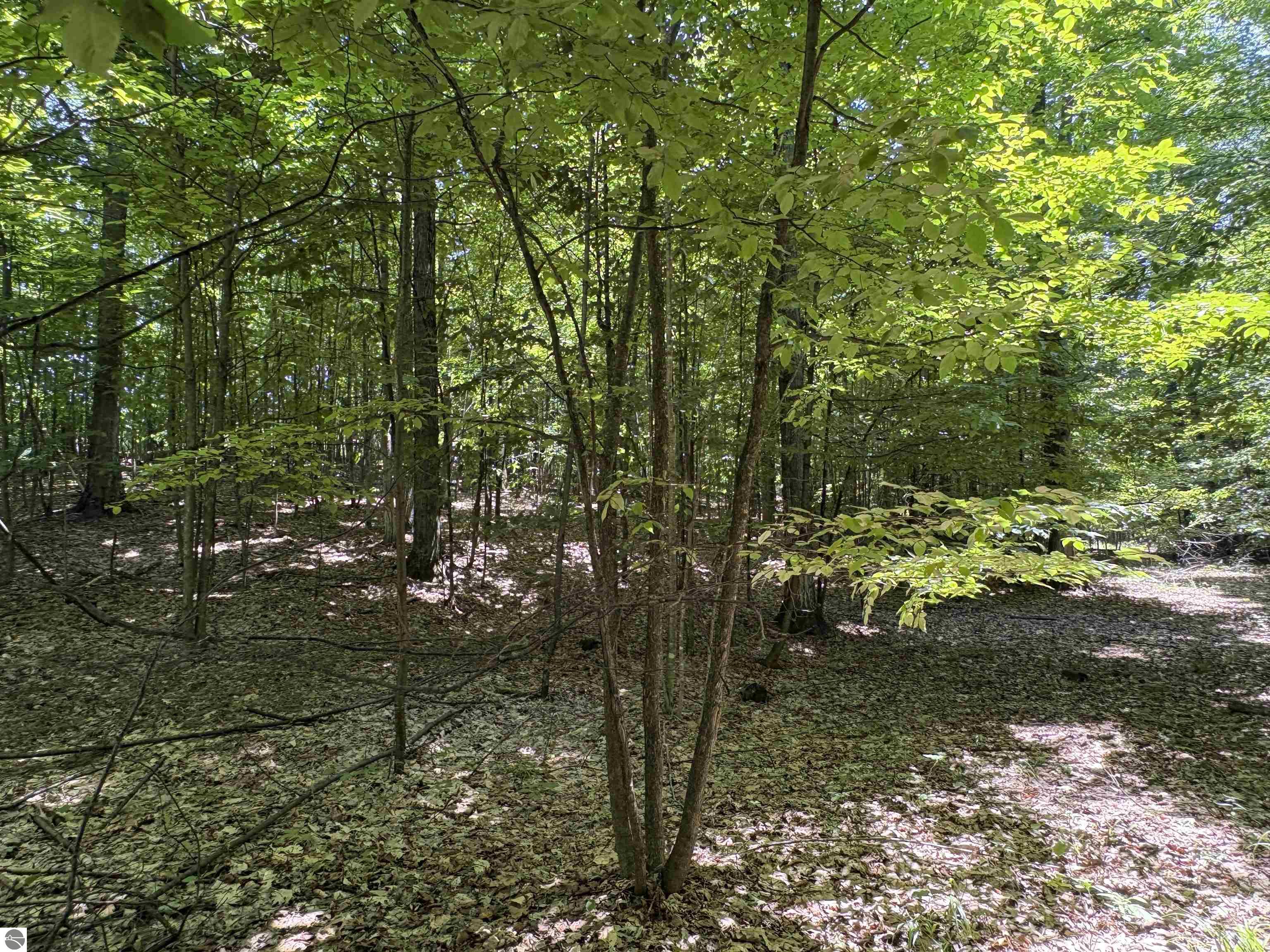 Image 15