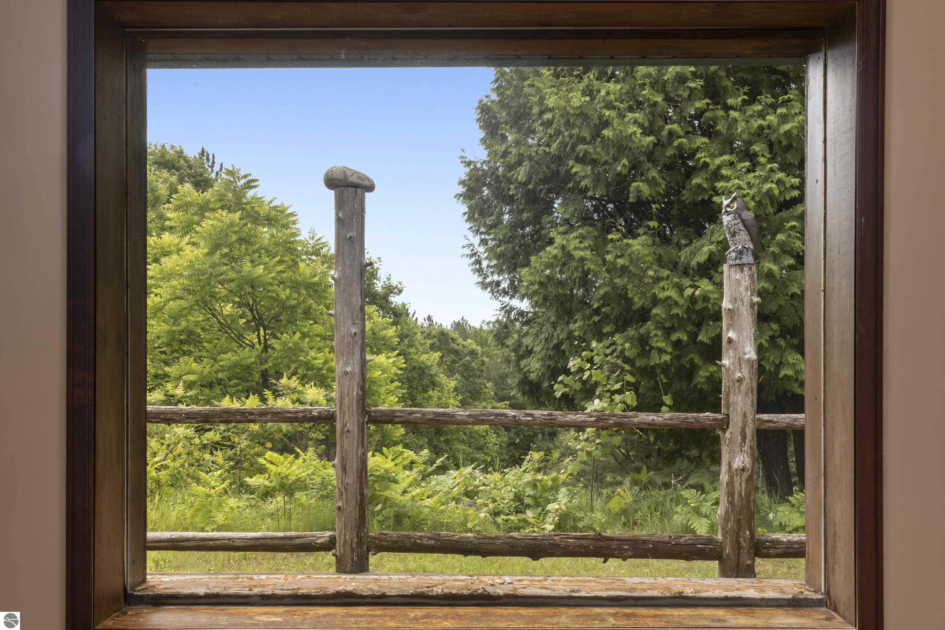 Image 13