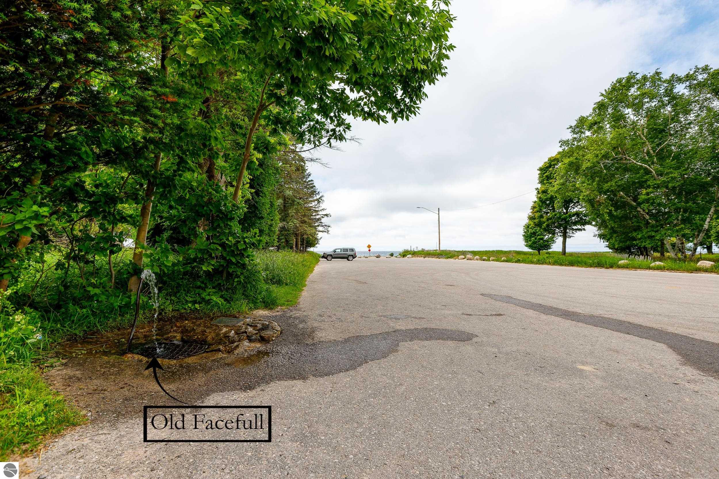 3528 Potter Road, Bear Lake, MI 49614 — Photo 34