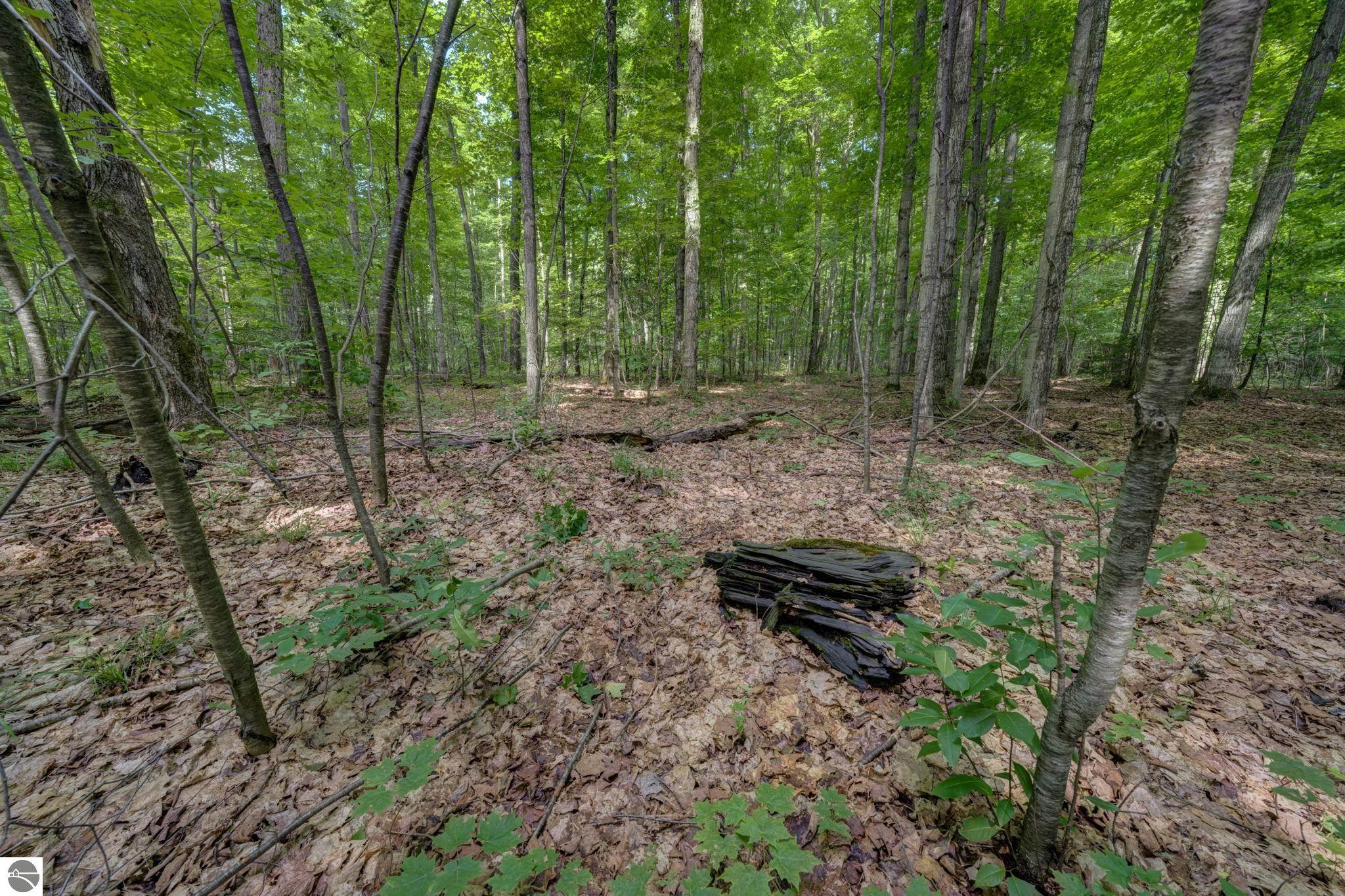 Image 49