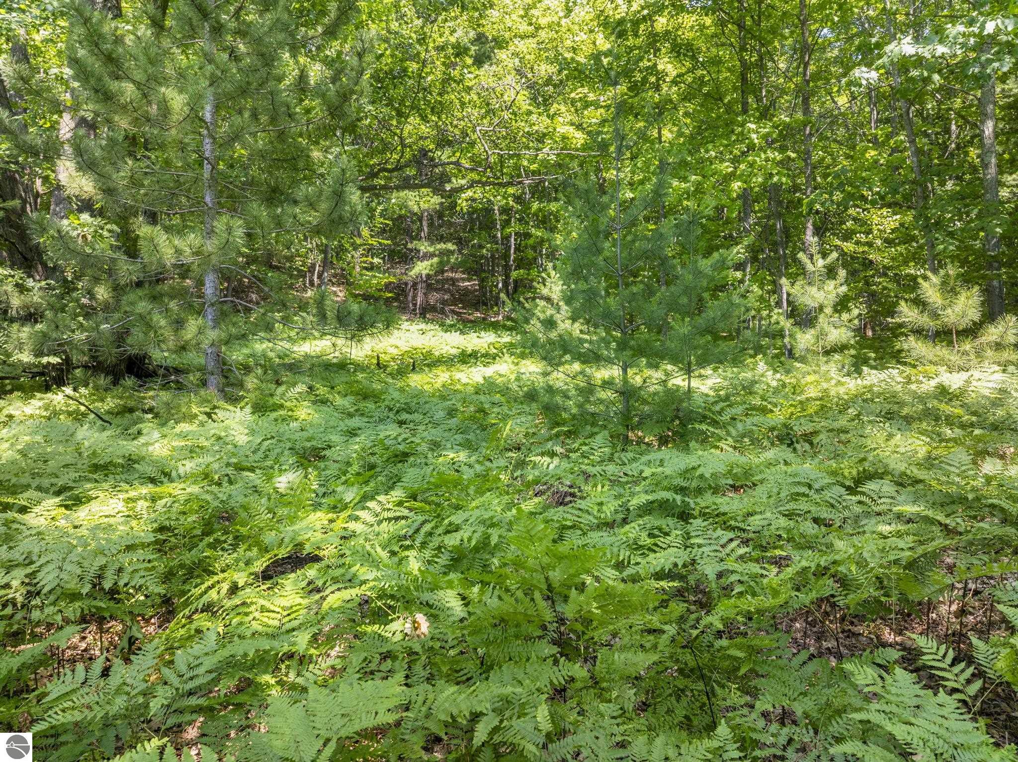 Image 14