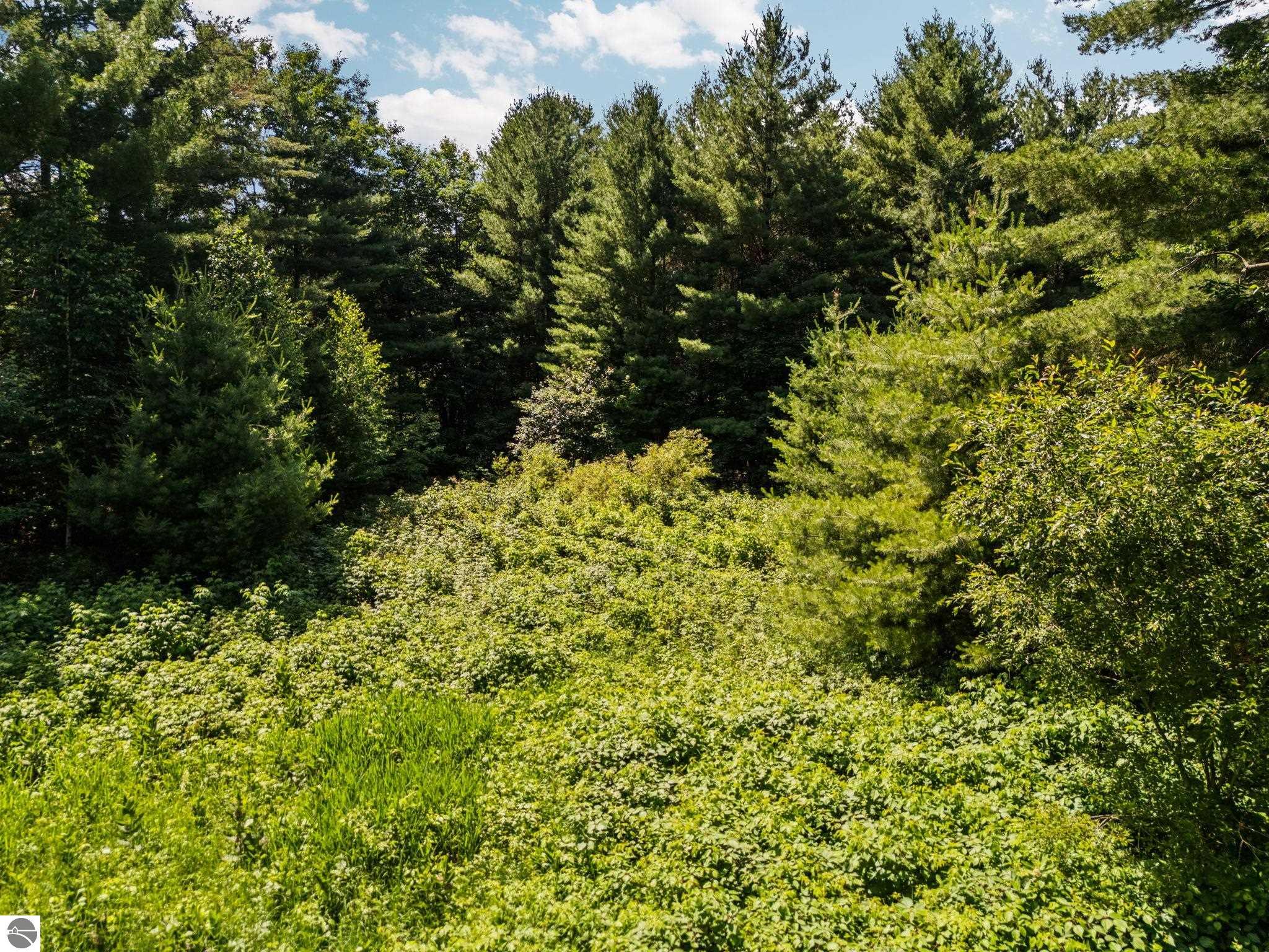 Image 68