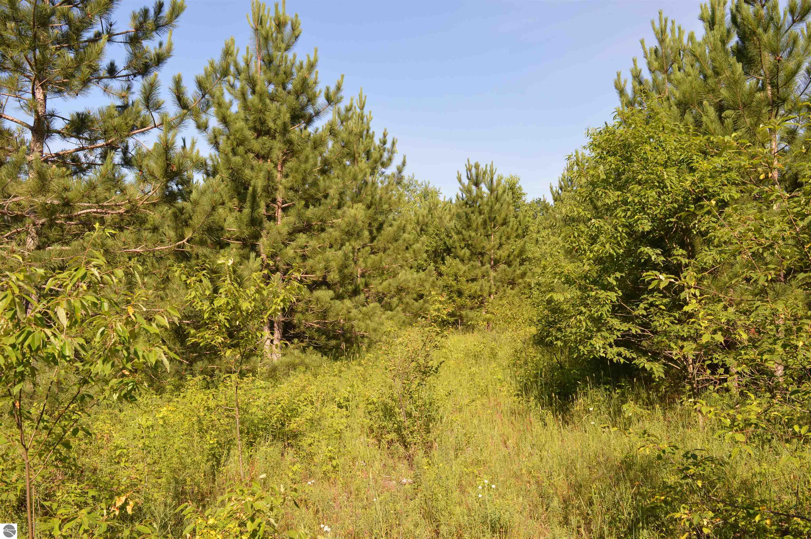 Image 12
