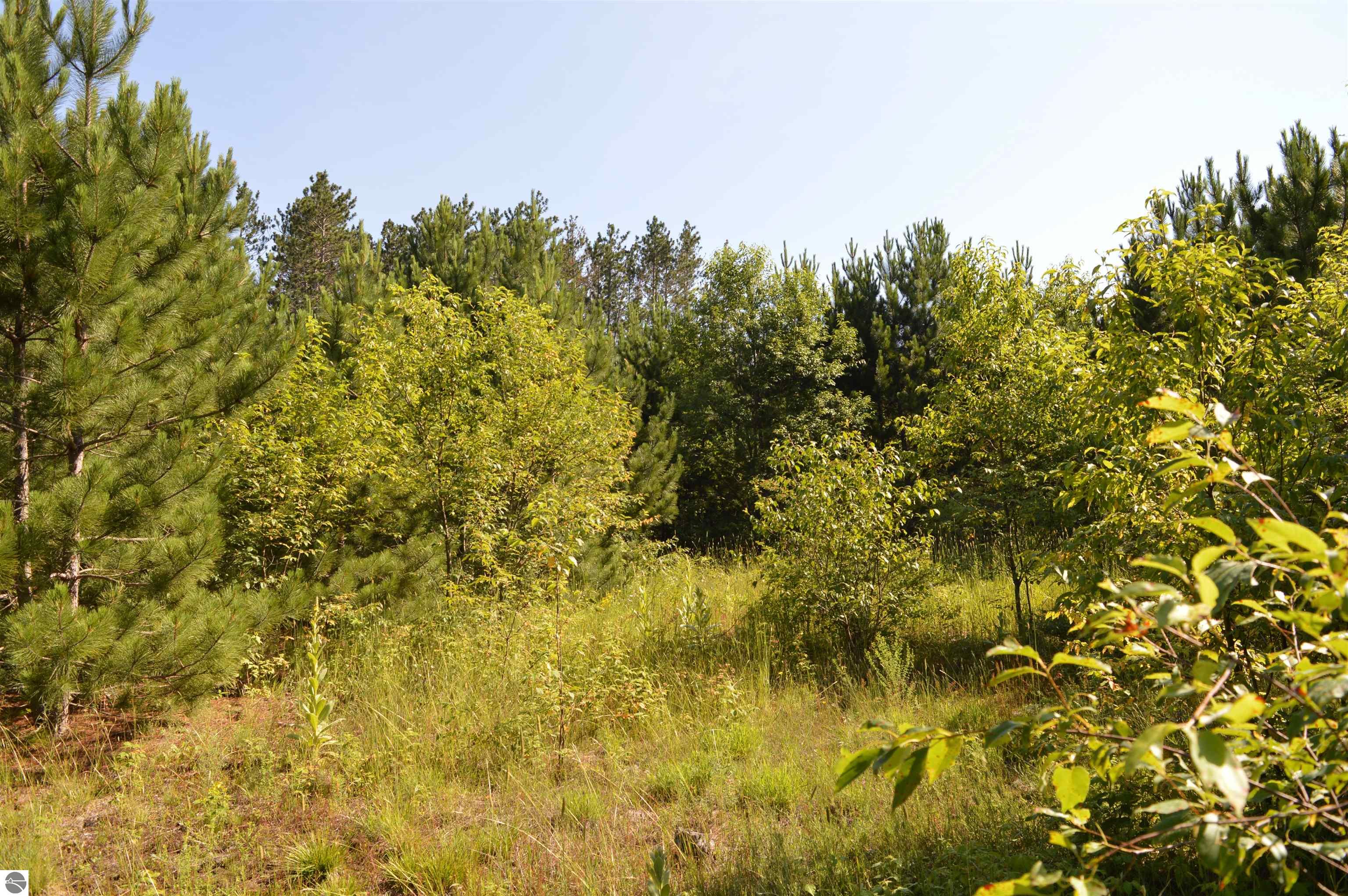 Image 17