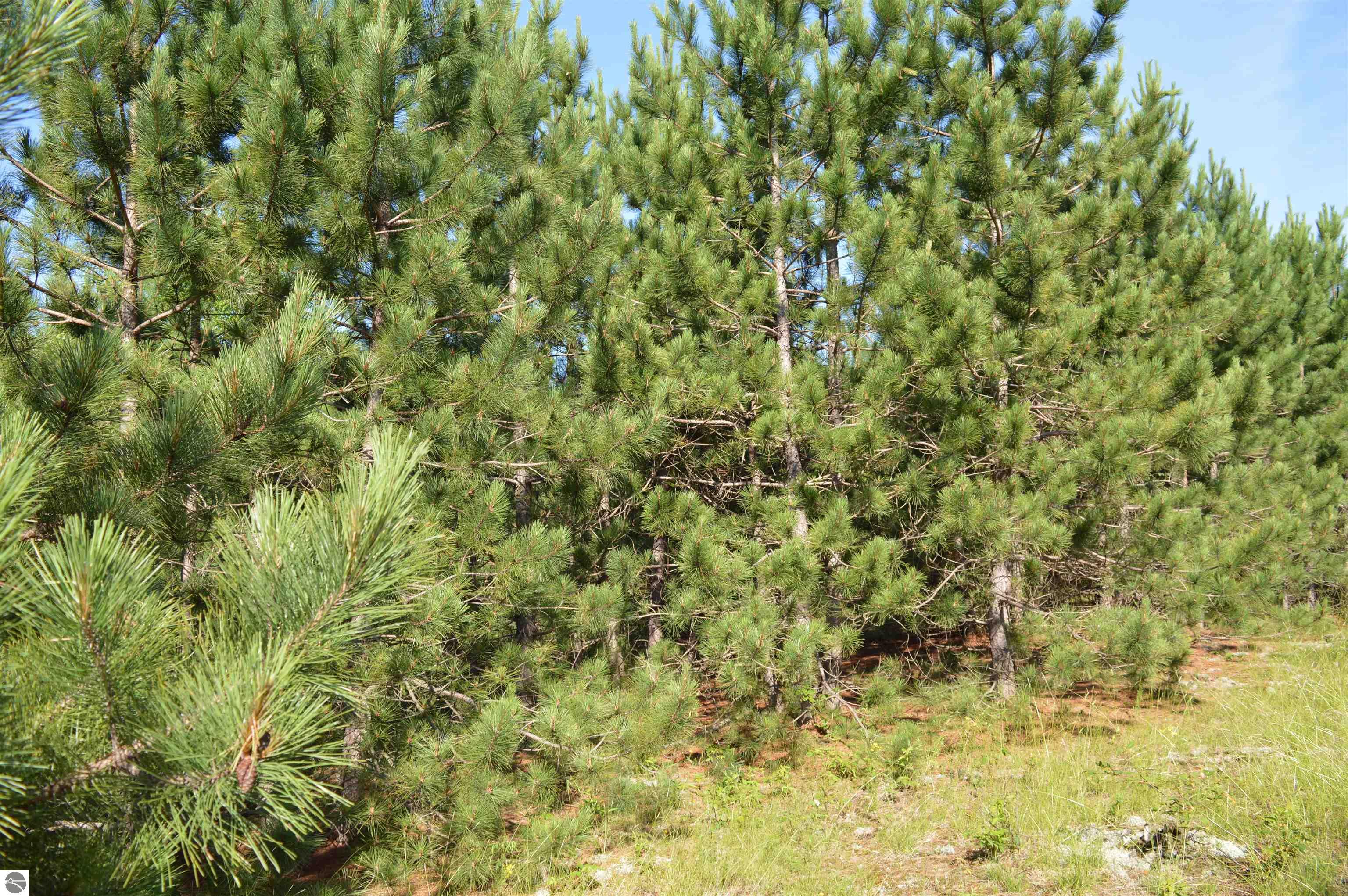 Image 27