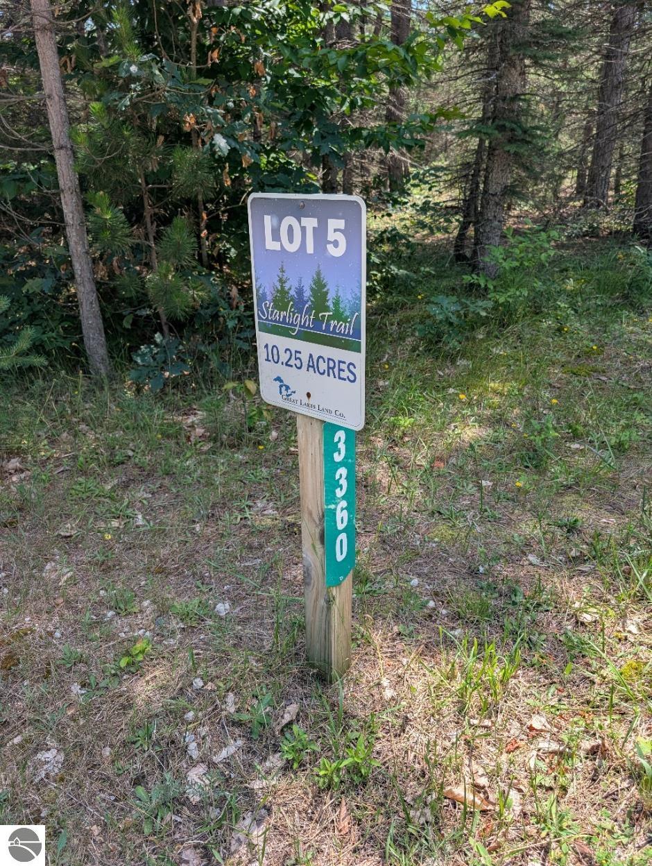 Image 41